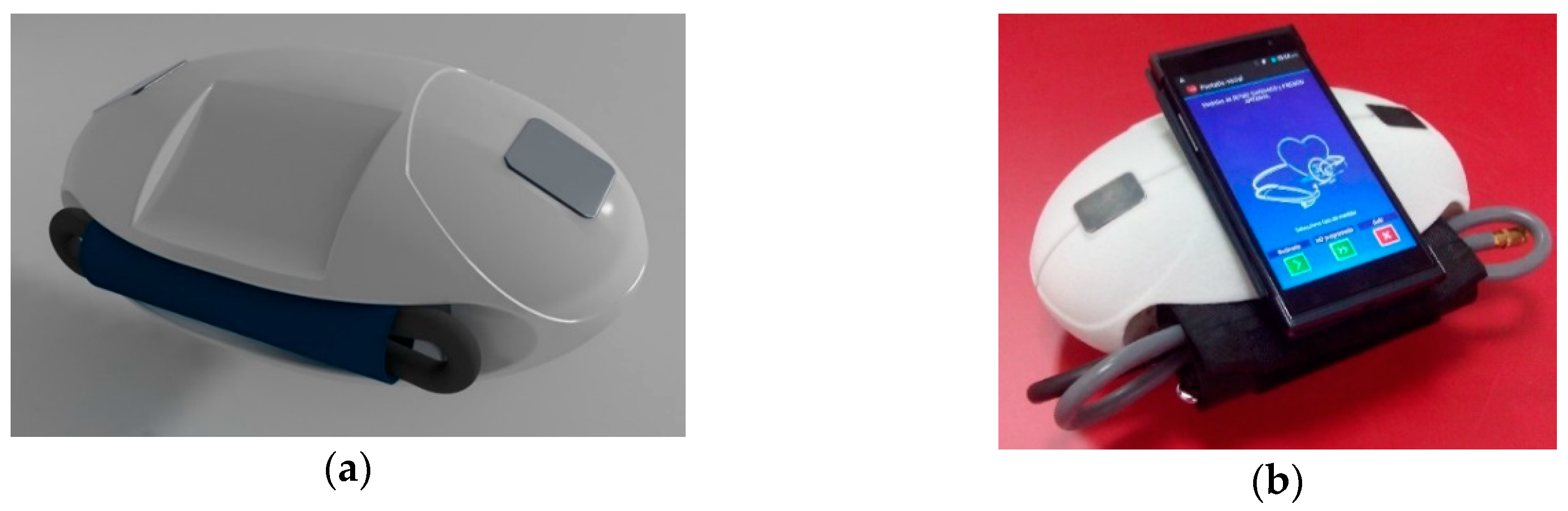 Proceedings 31 00067 g004