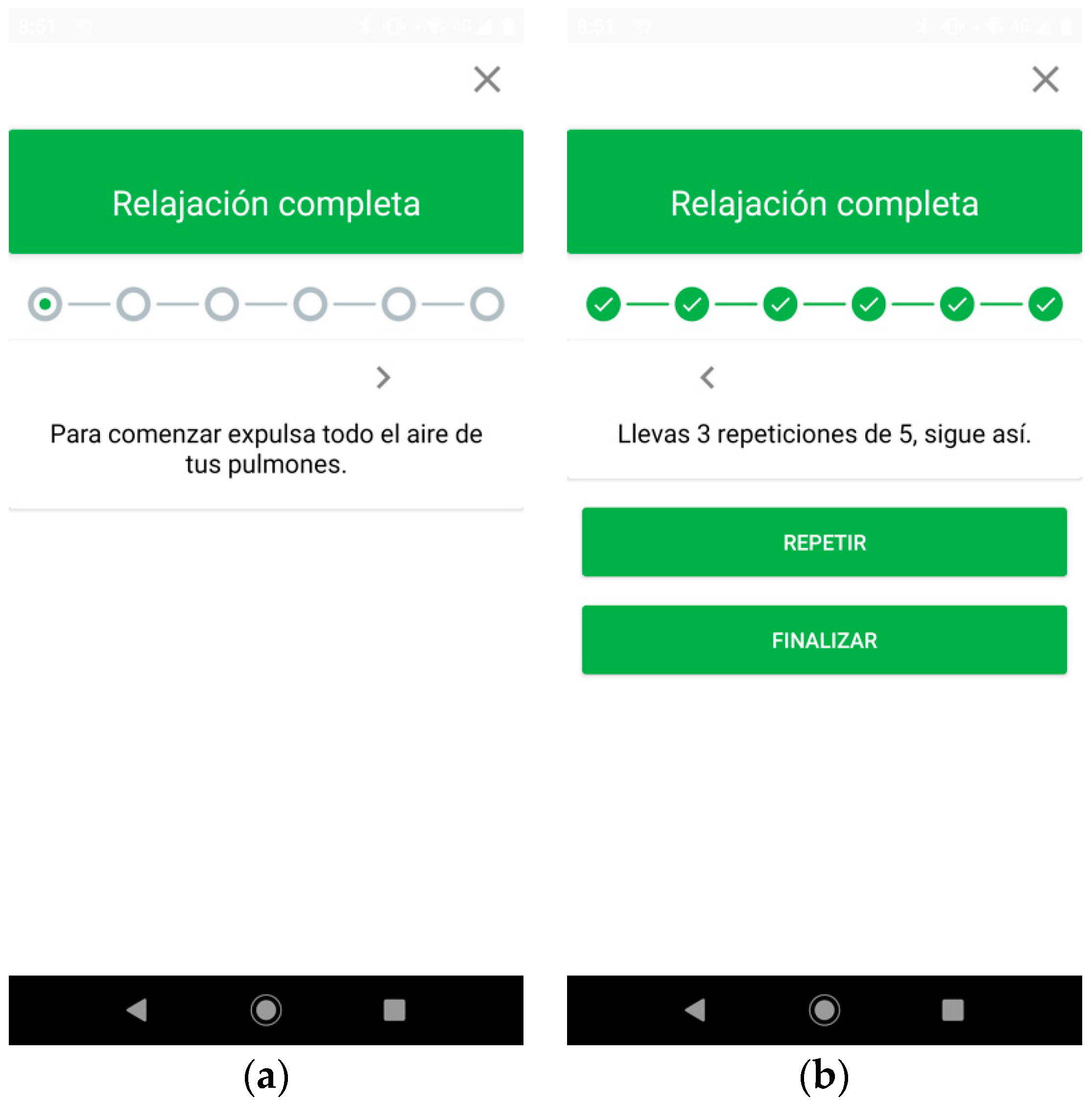 Proceedings 31 00068 g003