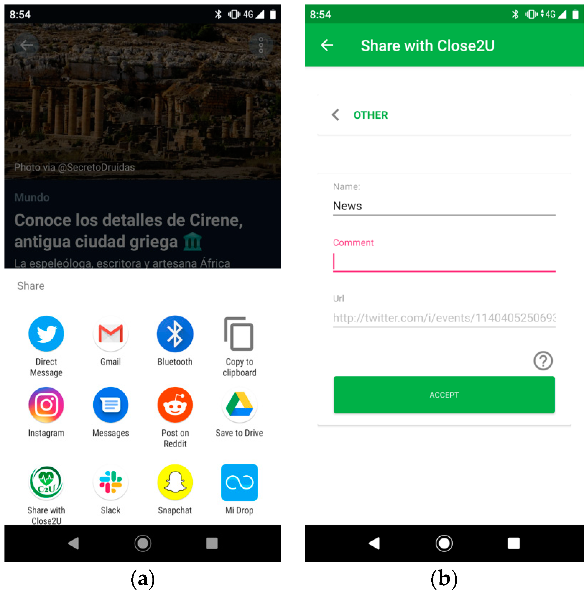 Proceedings 31 00068 g005