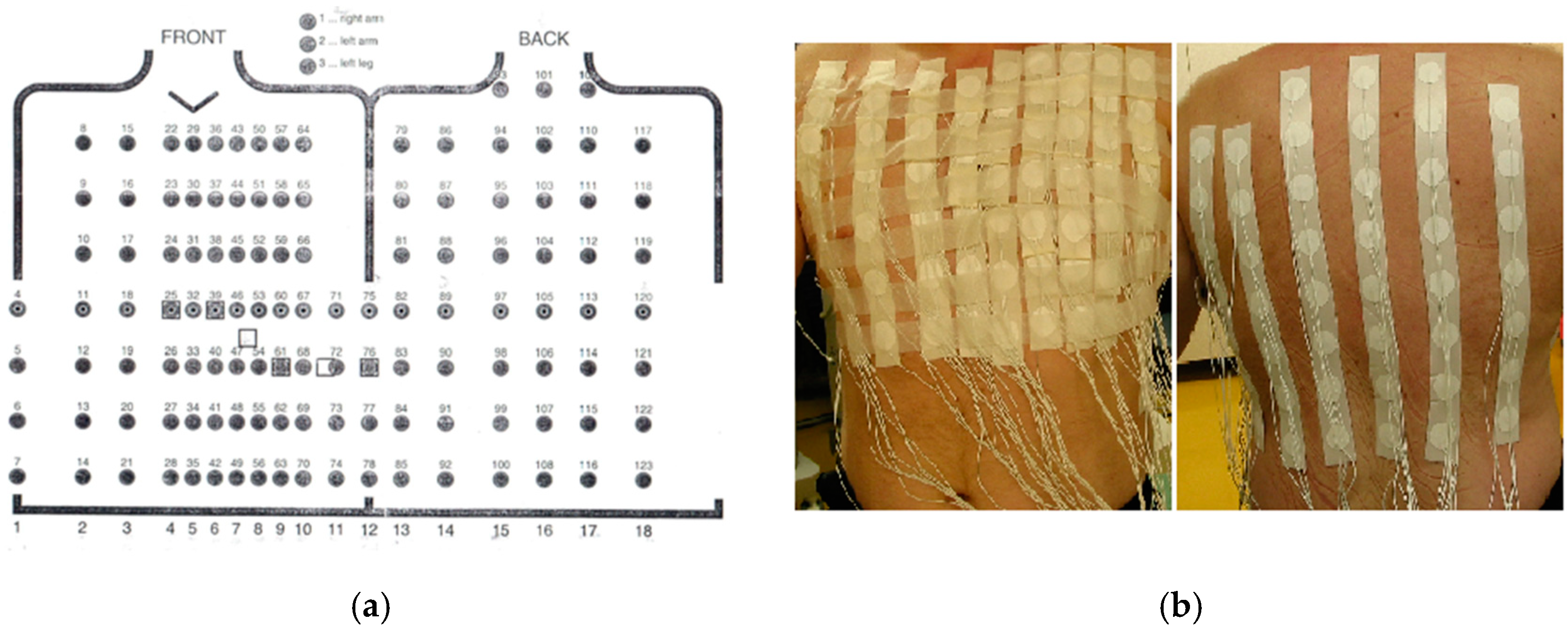Proceedings 31 00069 g001