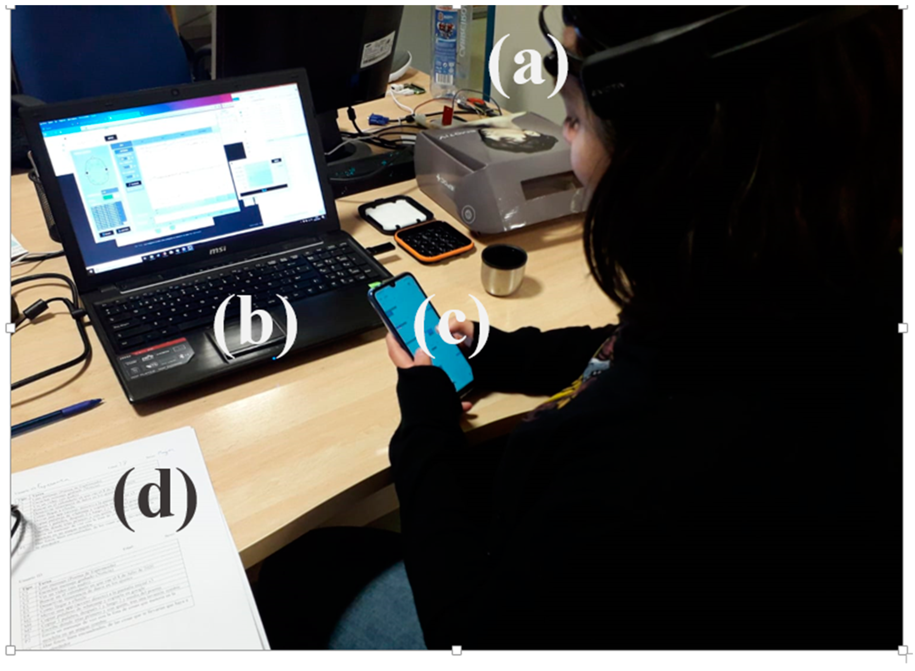 Proceedings 31 00070 g001