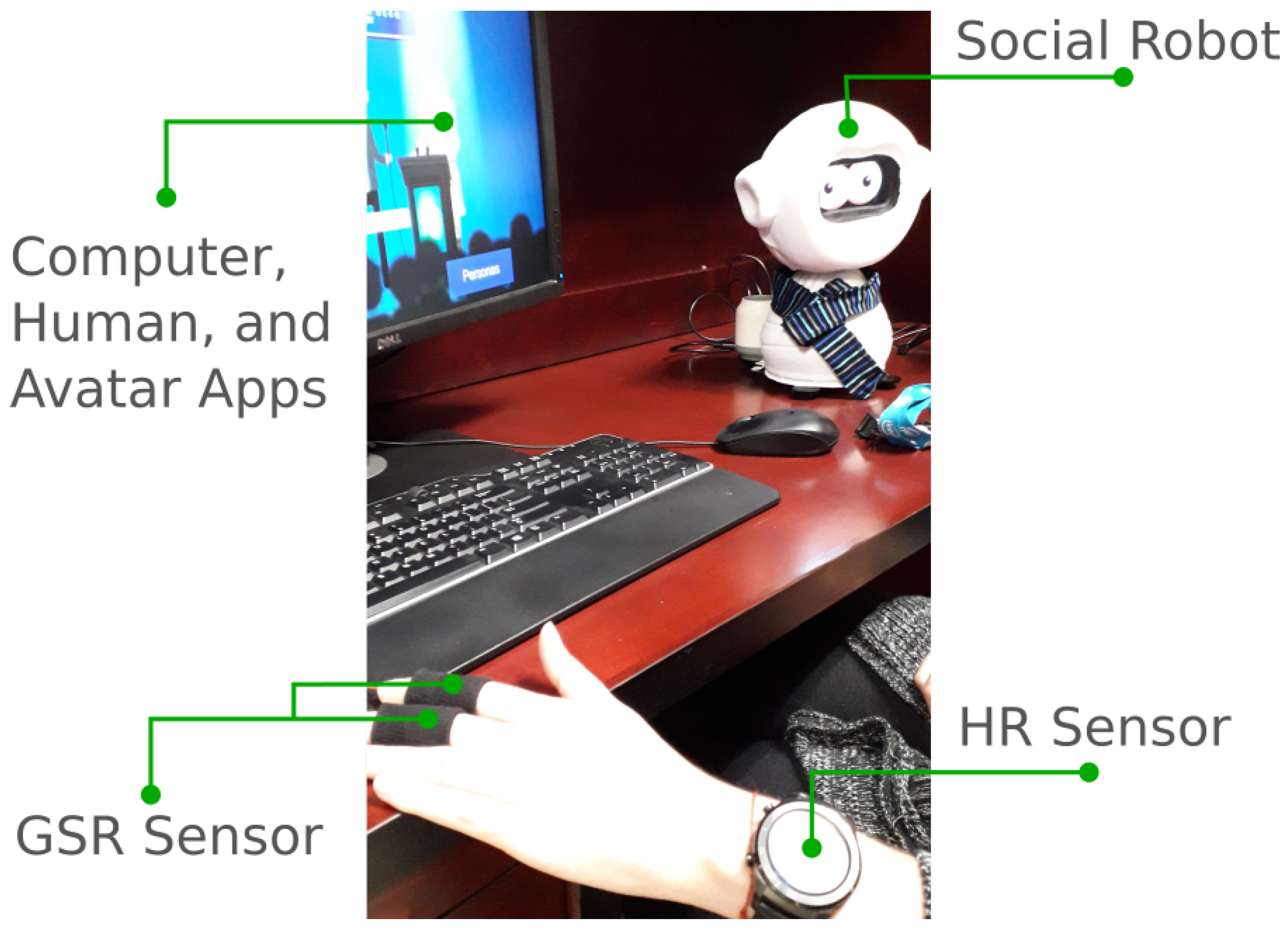 Proceedings 31 00071 g003