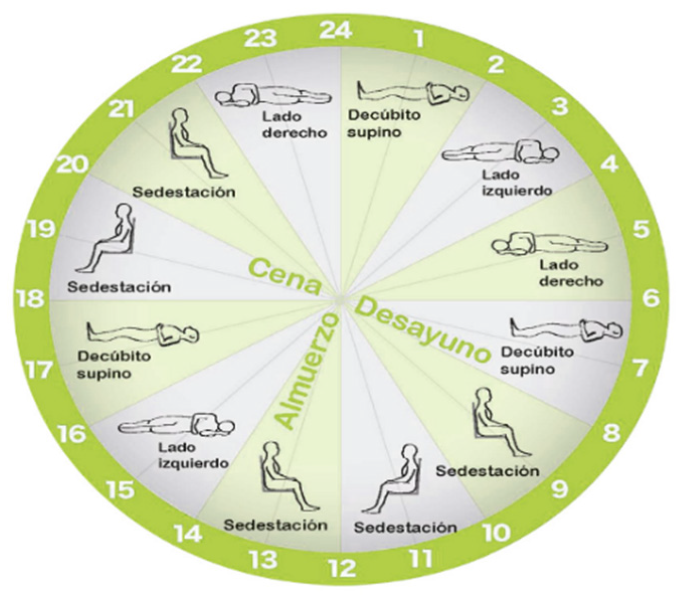 Proceedings 31 00079 g002