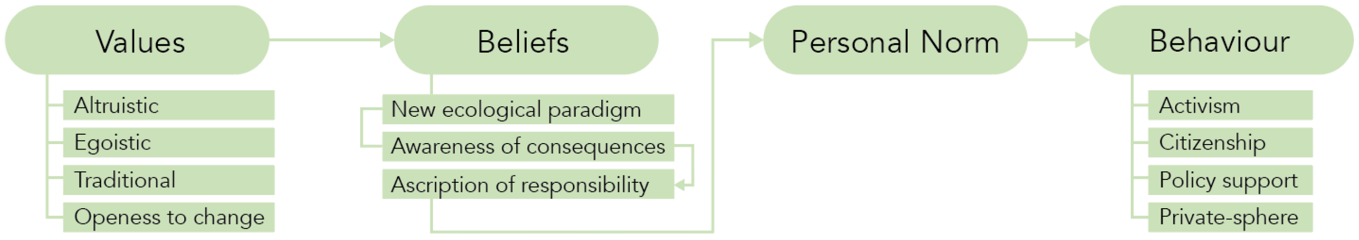 Proceedings 31 00082 g002