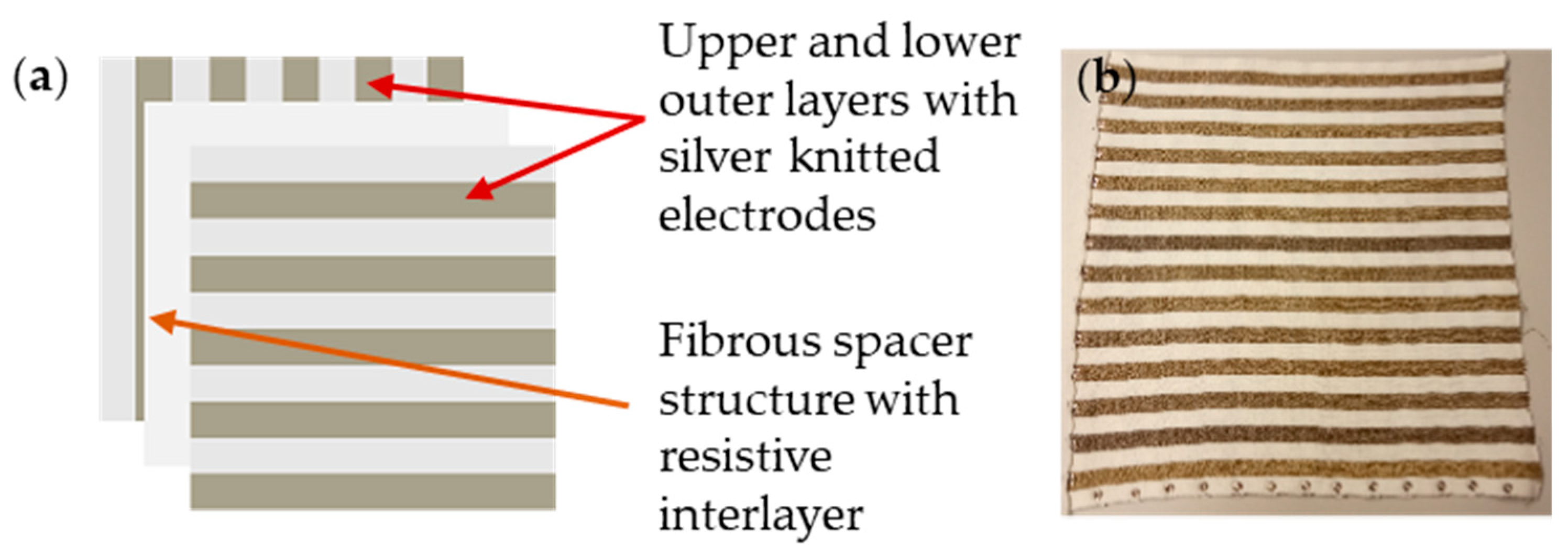 Proceedings 32 00003 g001