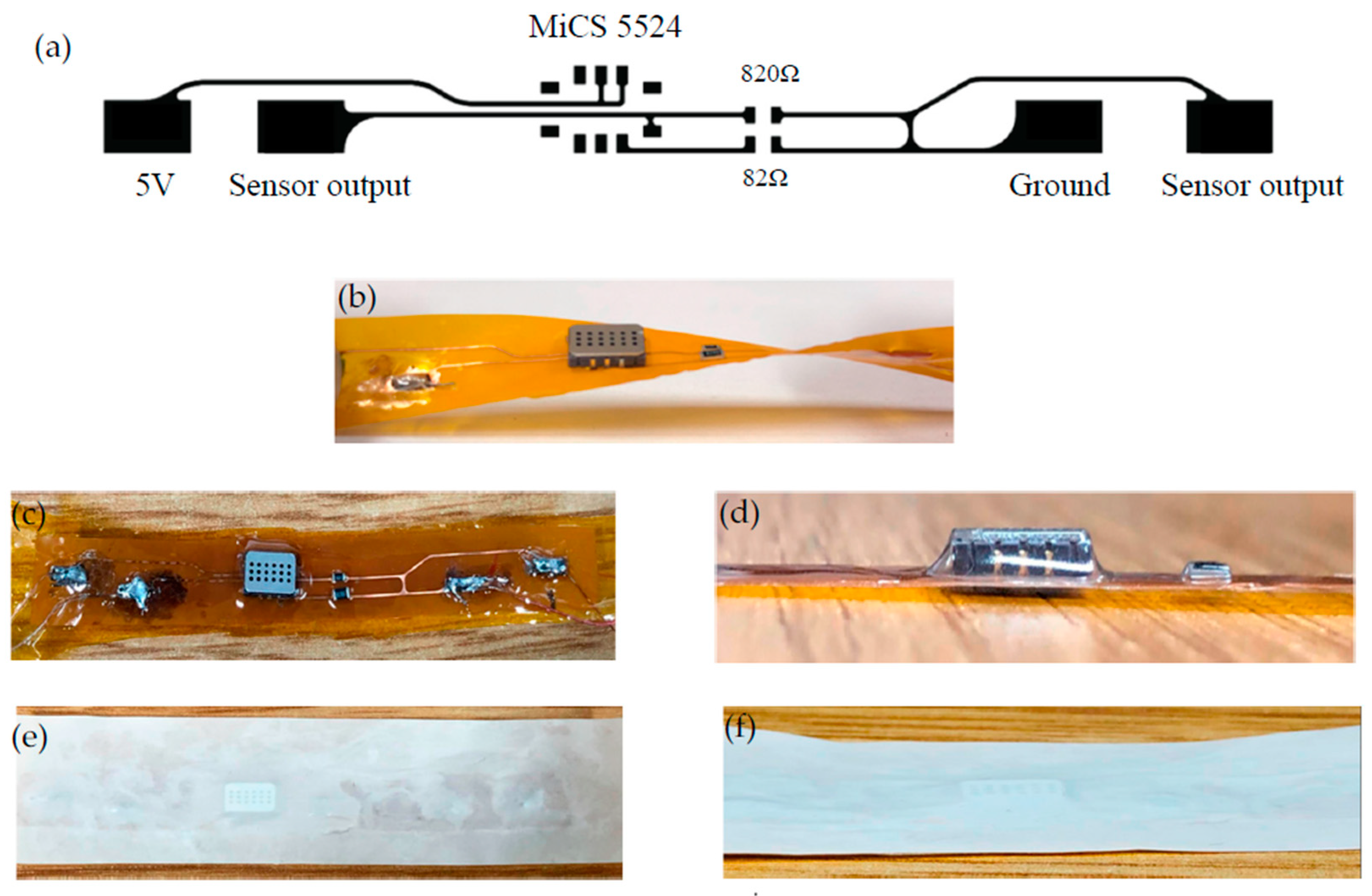 Proceedings 32 00008 g001