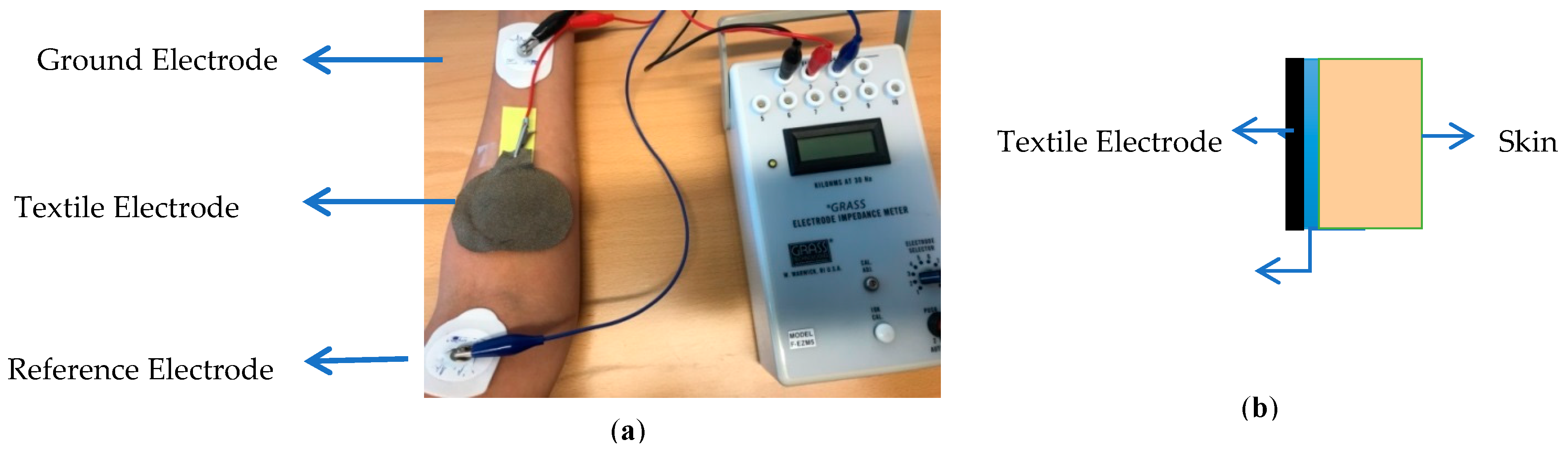 Proceedings 32 00009 g001