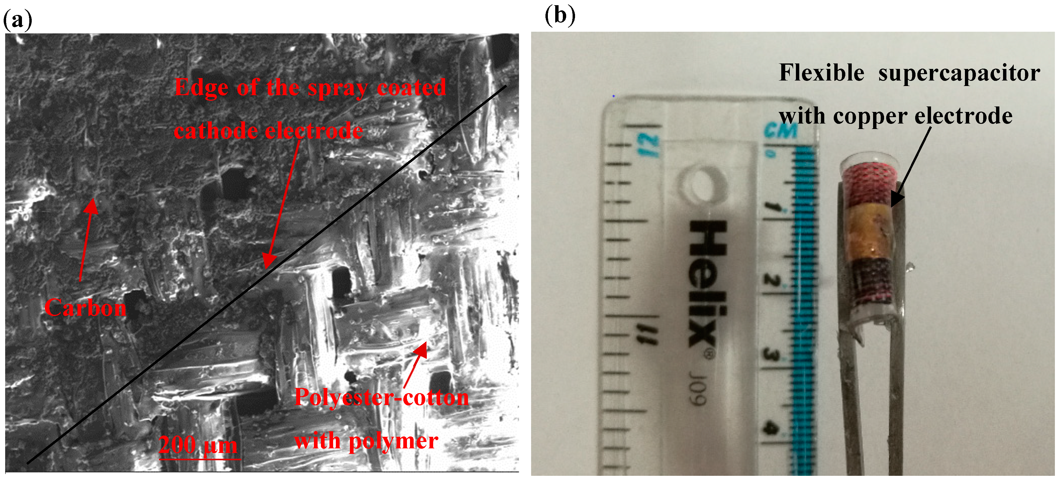 Proceedings 32 00015 g001
