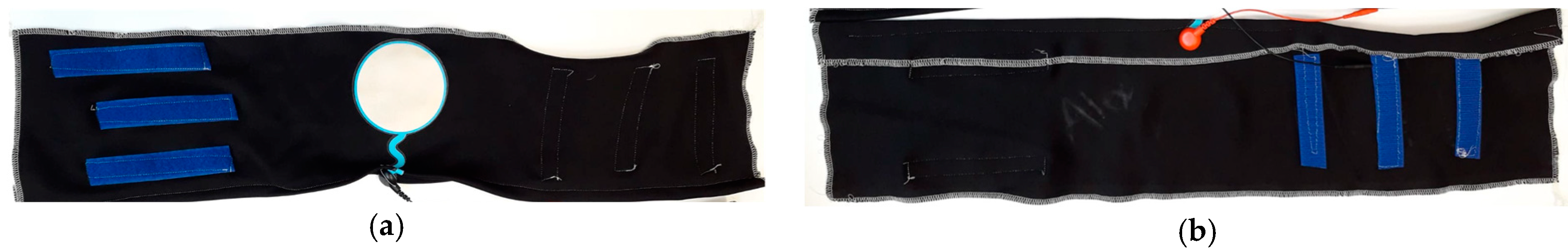 Proceedings 32 00017 g001