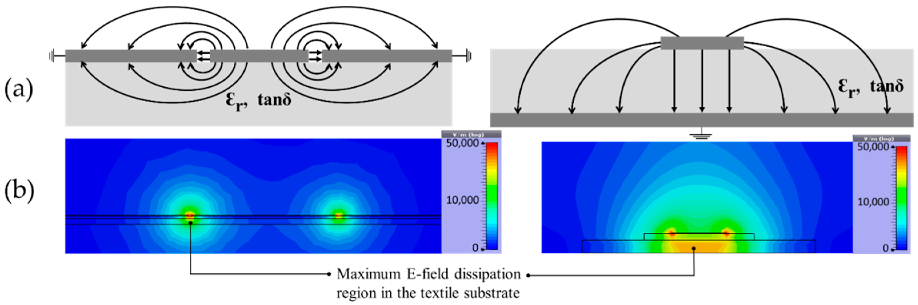 Proceedings 32 00018 g002