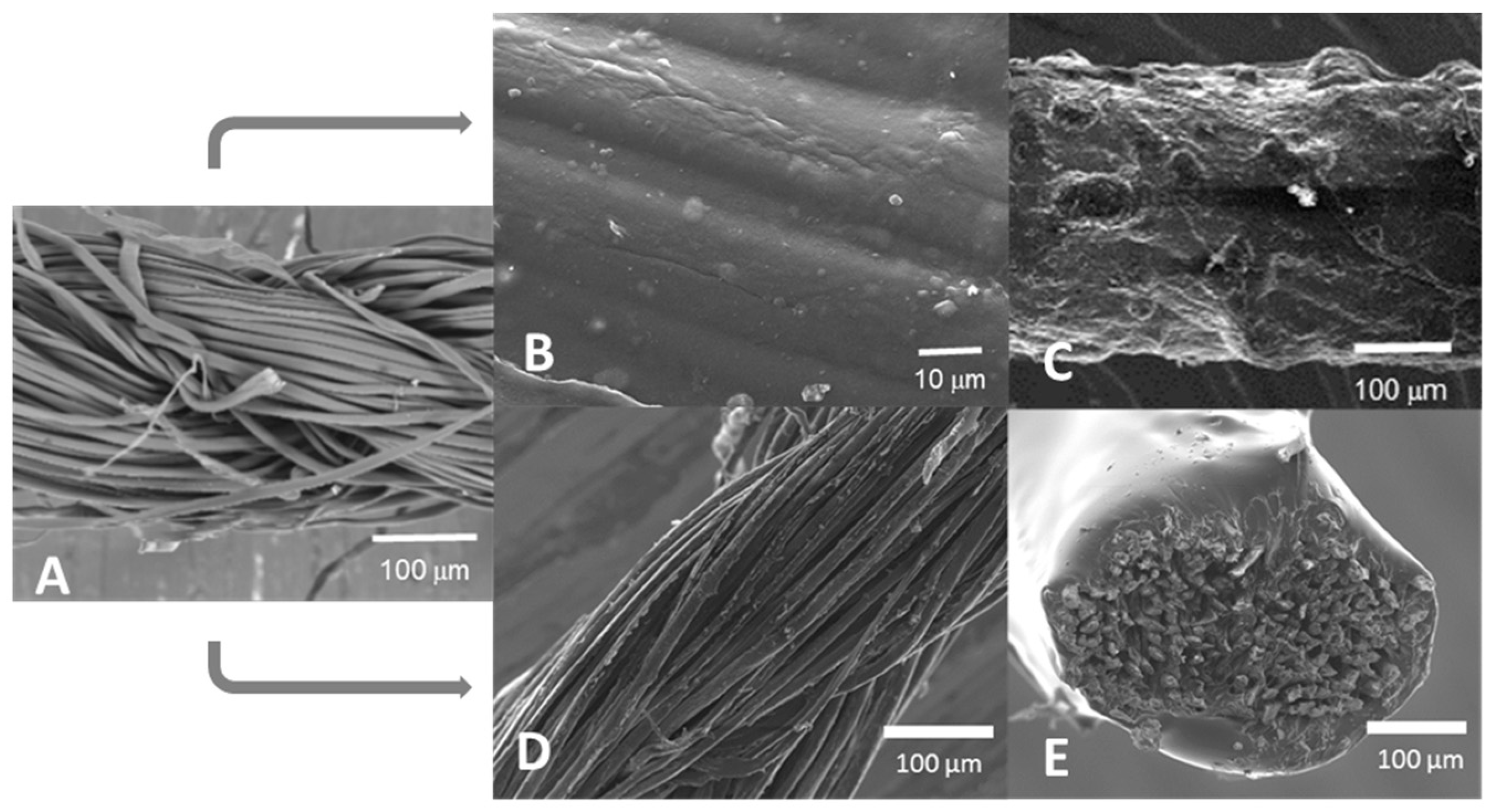 Proceedings 32 00022 g001