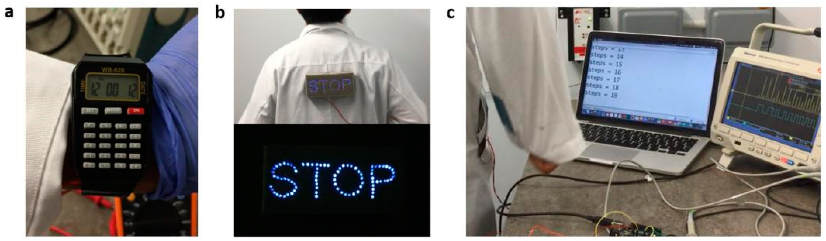 Proceedings 32 00023 g005