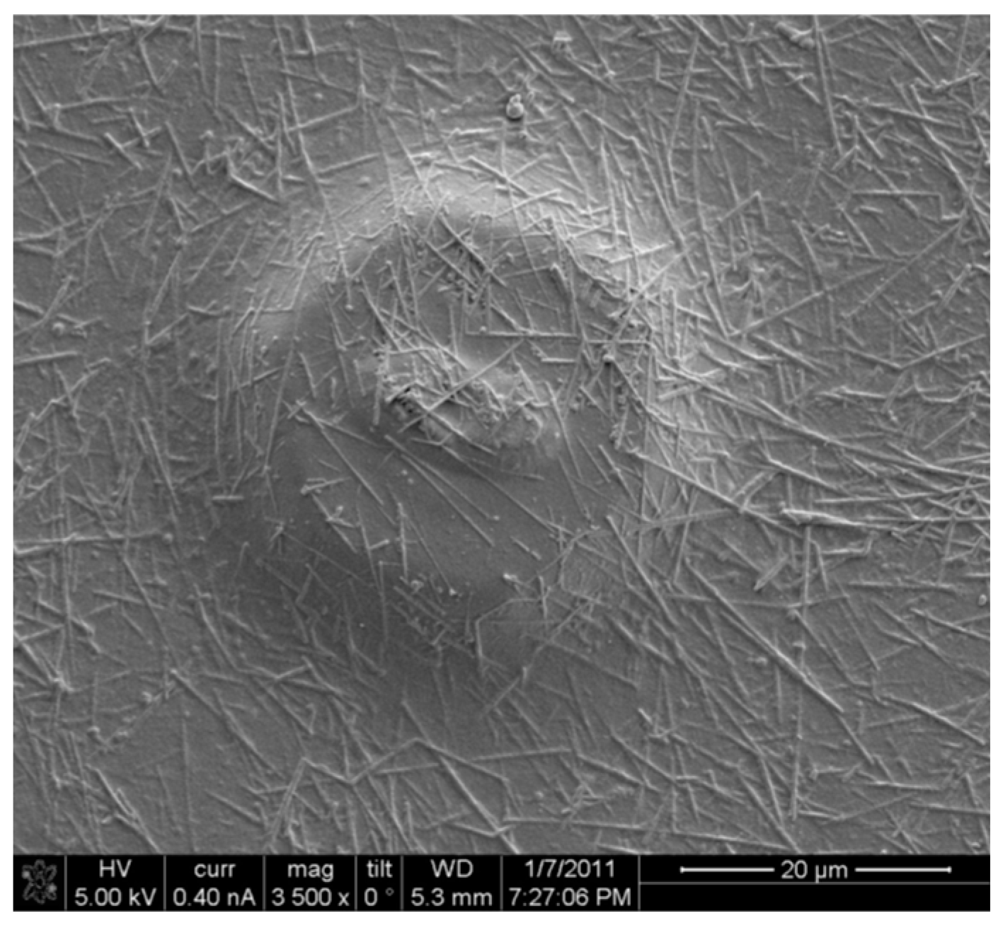 Proceedings 32 00024 g003