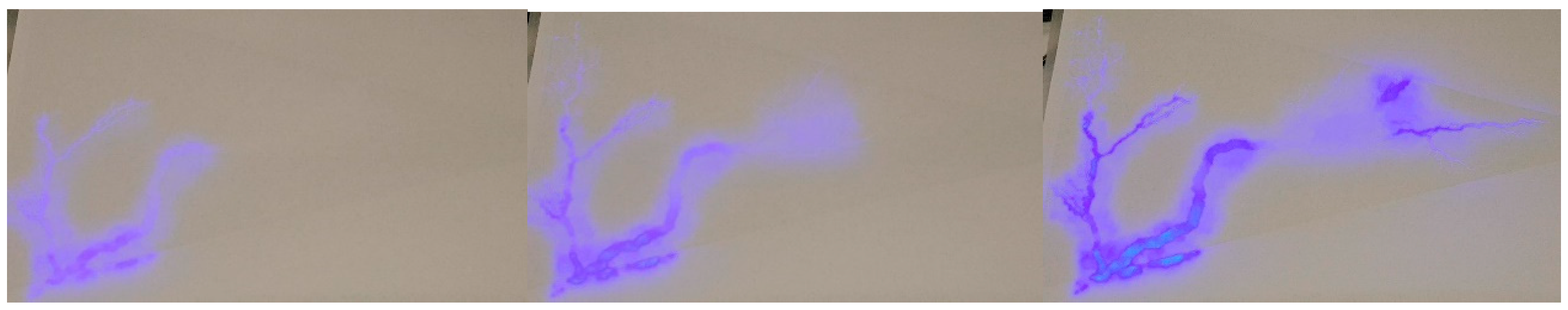 Proceedings 32 00024 g005