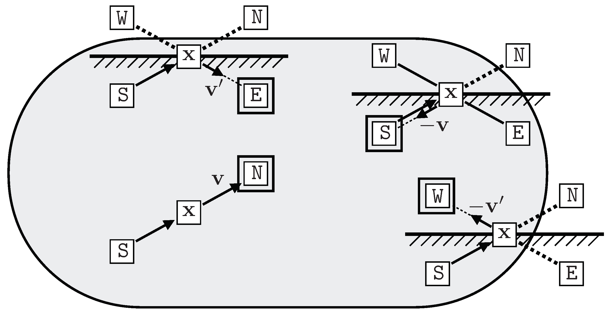 Proceedings 33 00019 g005