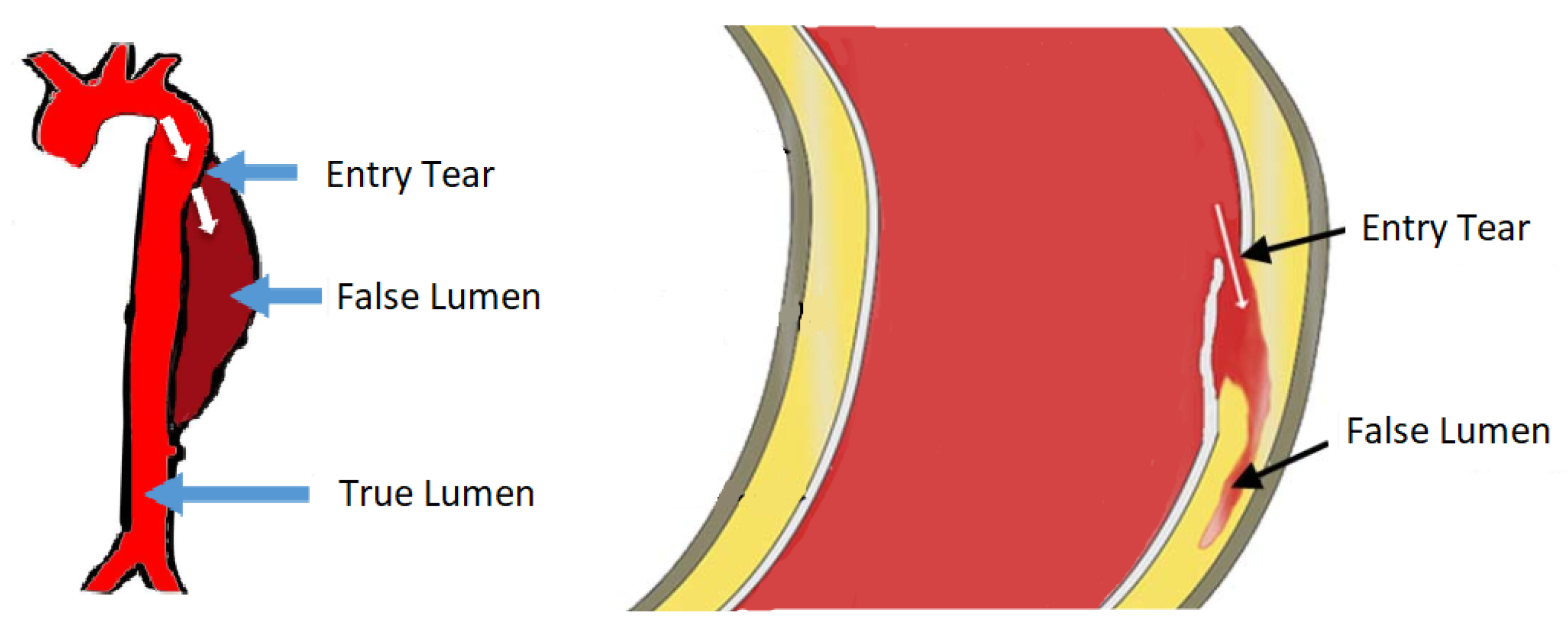 Proceedings 33 00024 g001