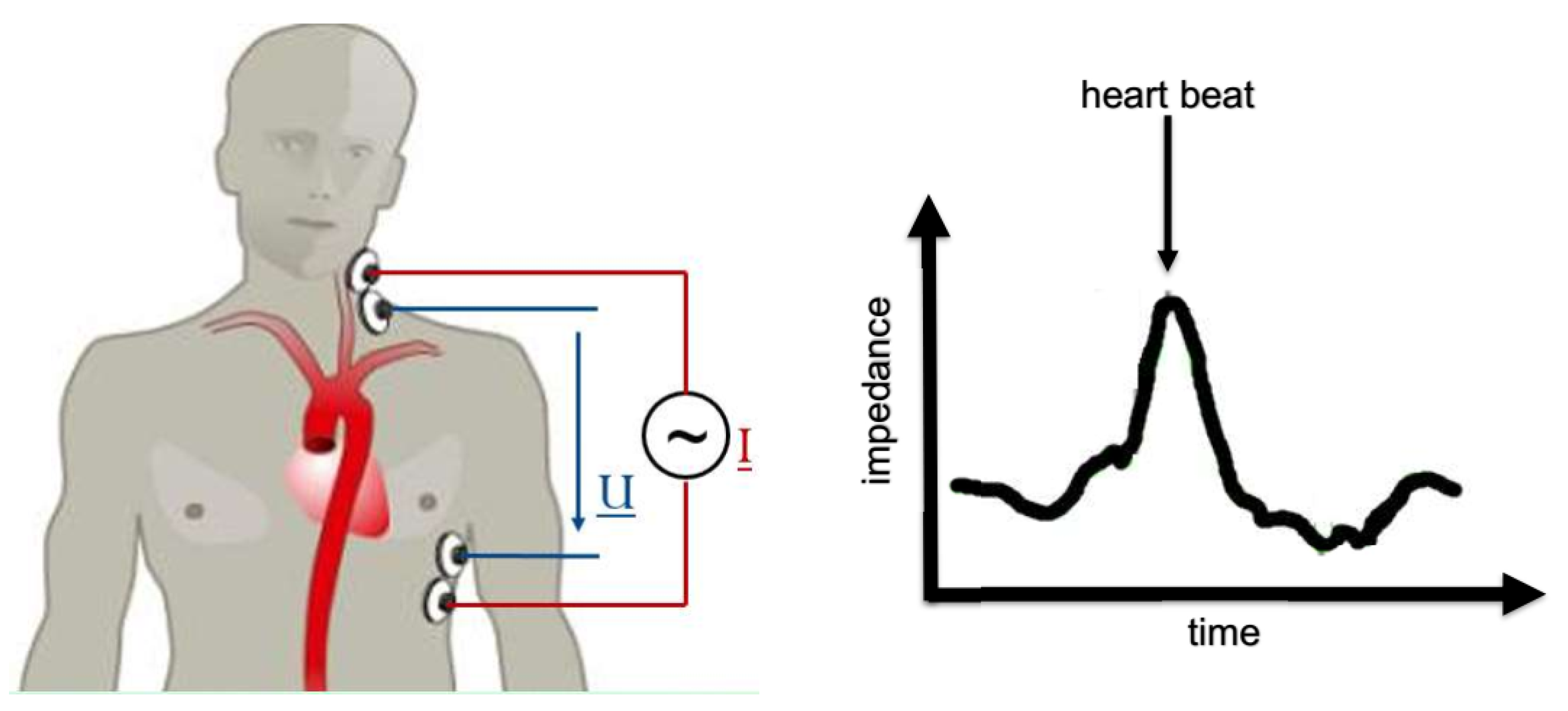 Proceedings 33 00024 g002