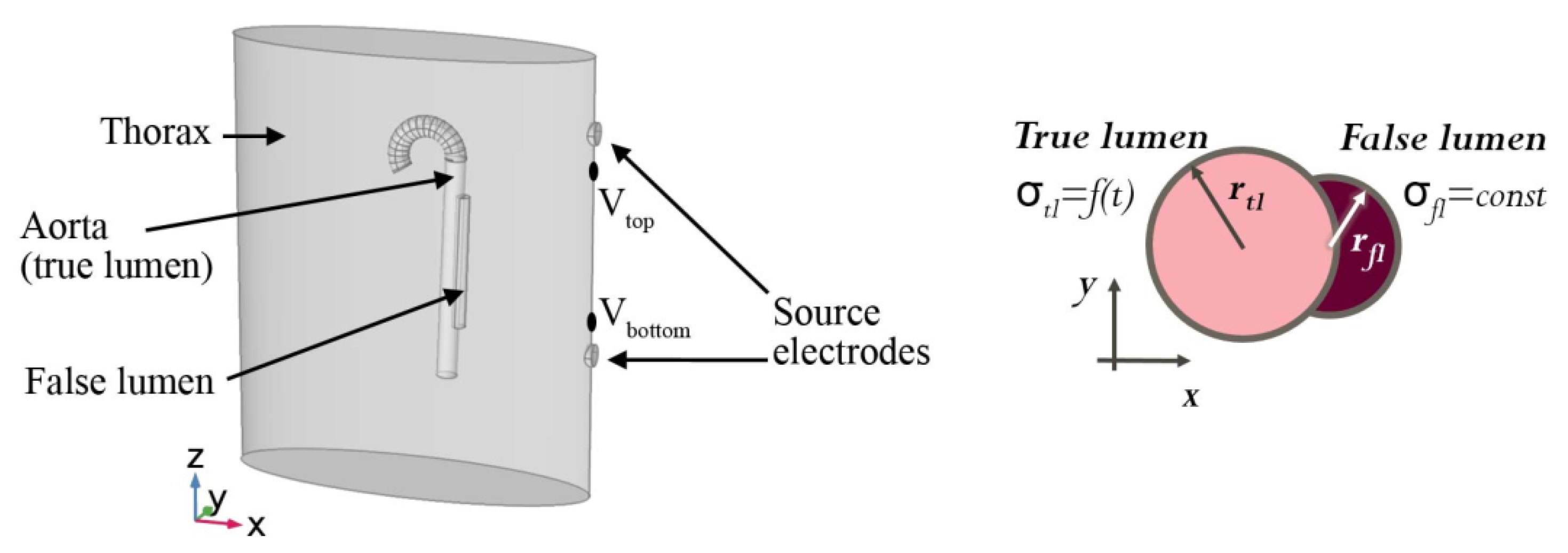 Proceedings 33 00024 g003