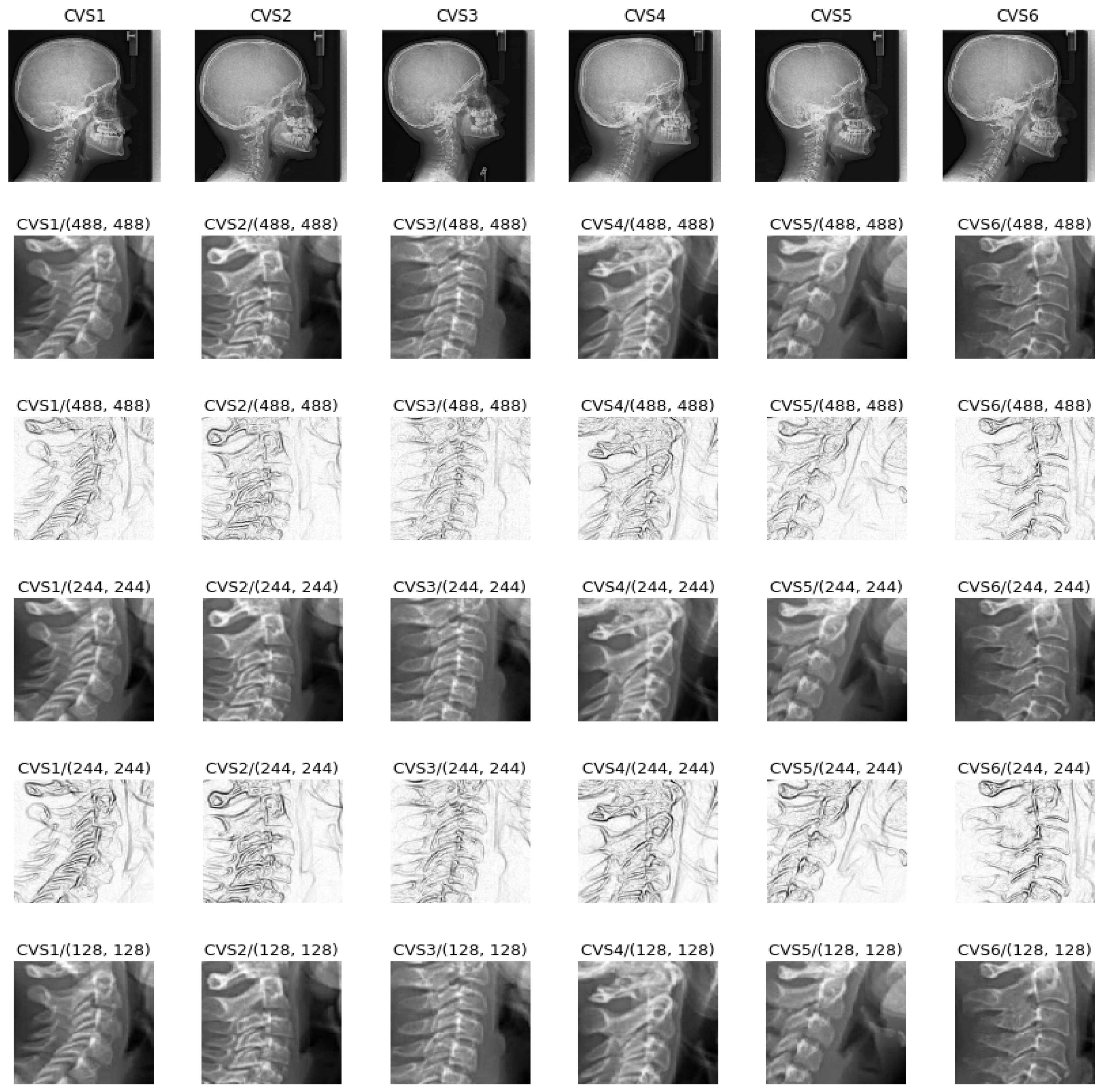 Proceedings 33 00030 g002