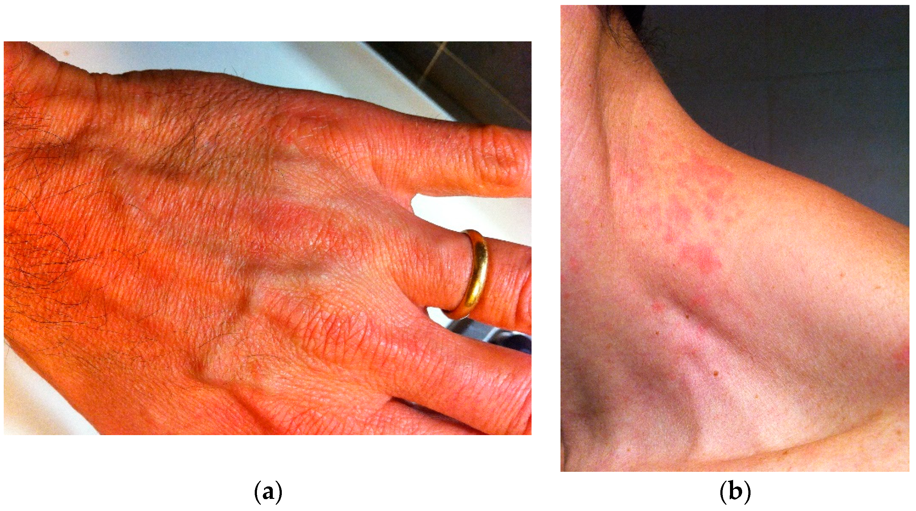 Proceedings 35 00005 g001