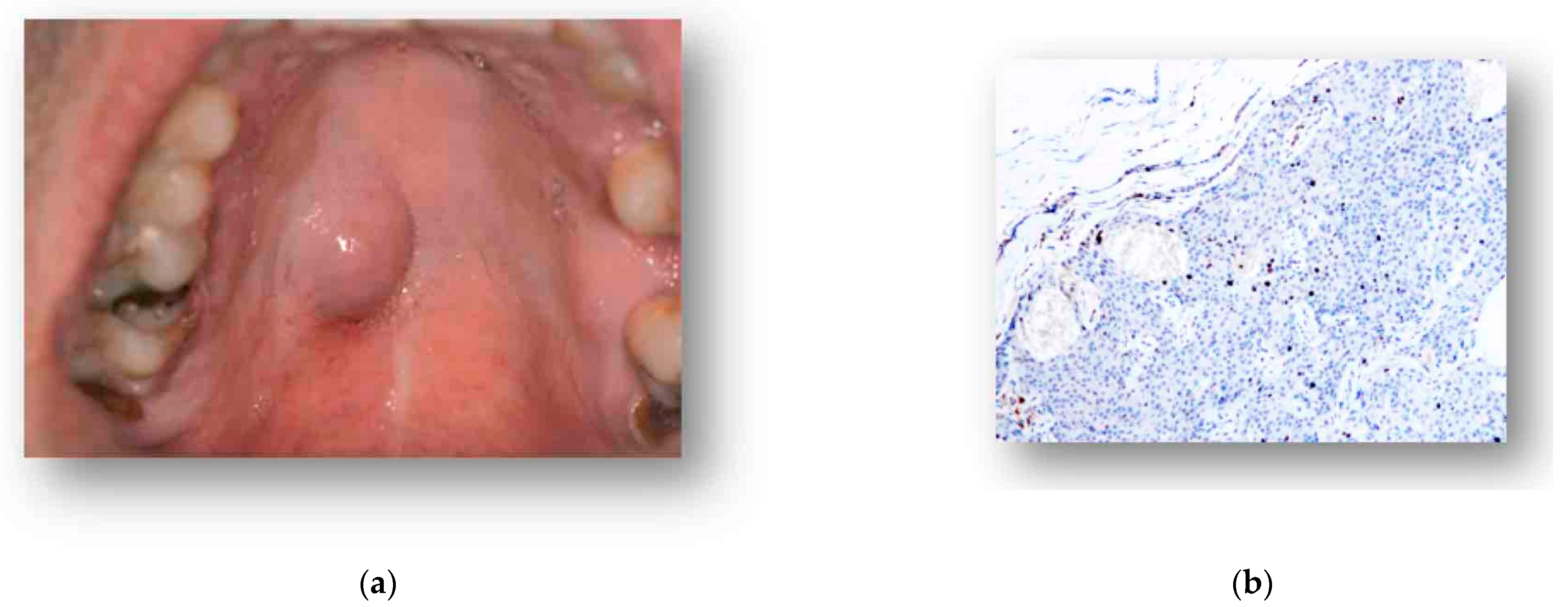 Proceedings 35 00007 g001