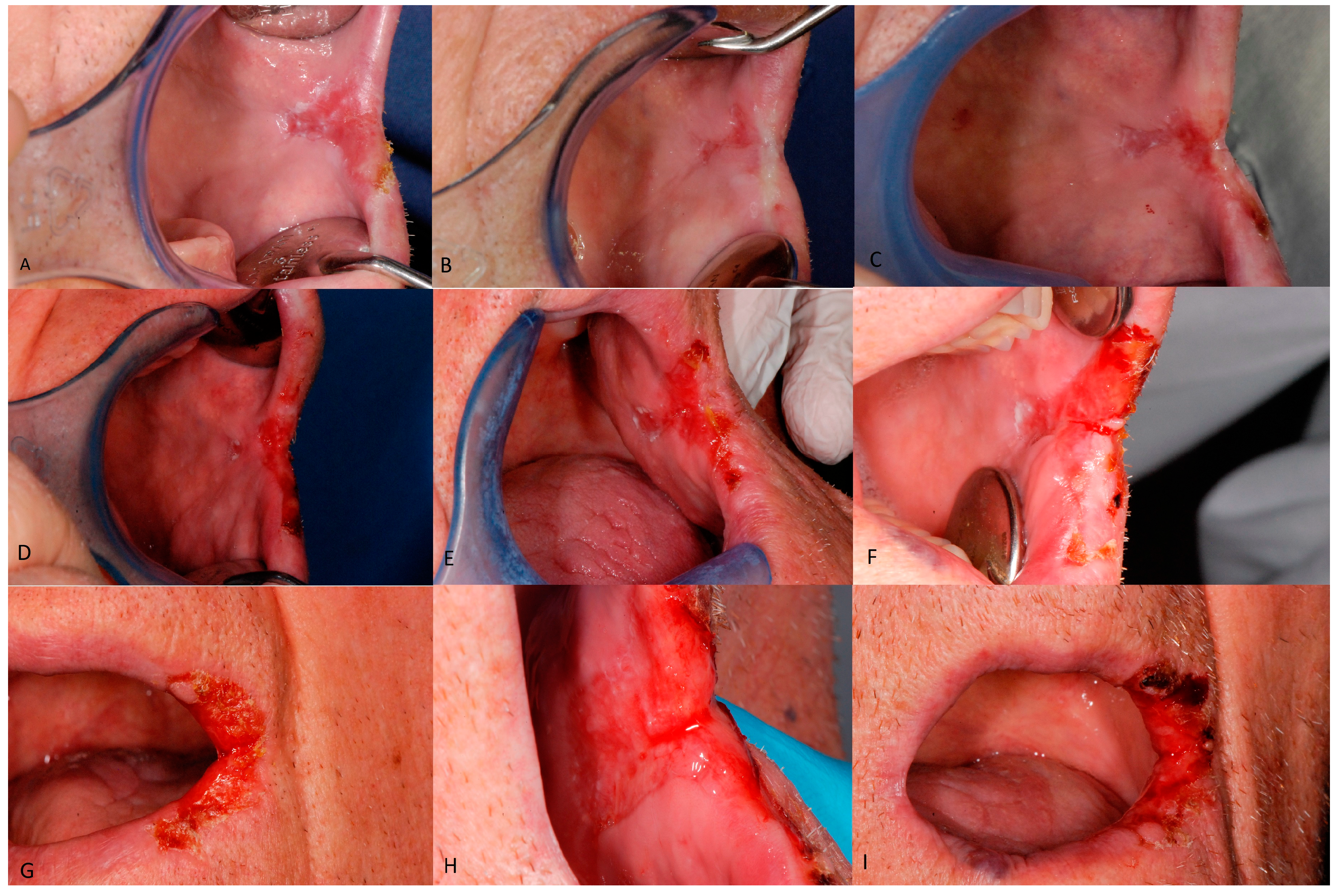 Proceedings 35 00010 g001