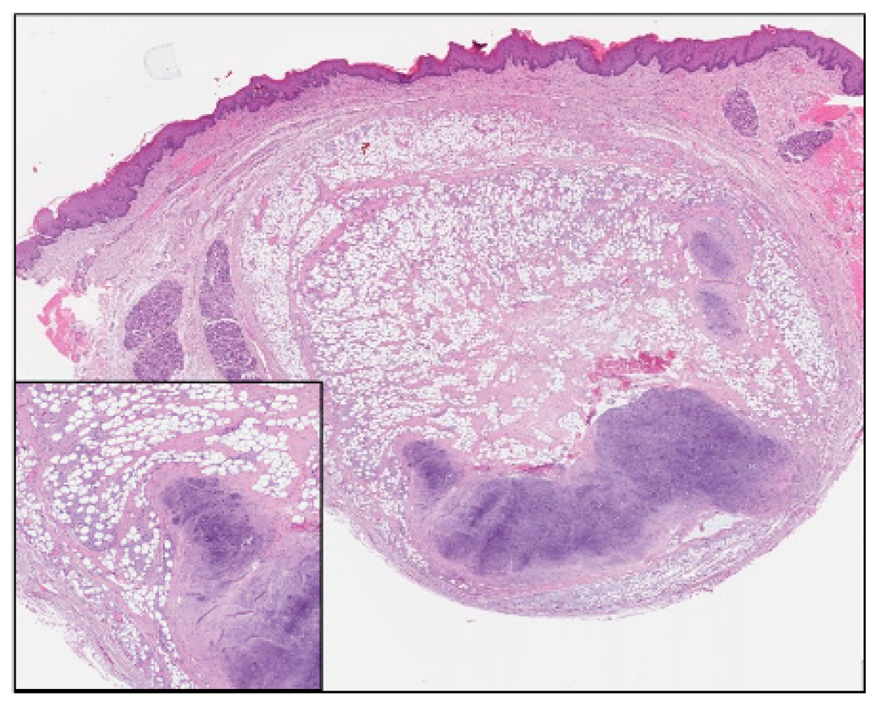 Proceedings 35 00048 g001