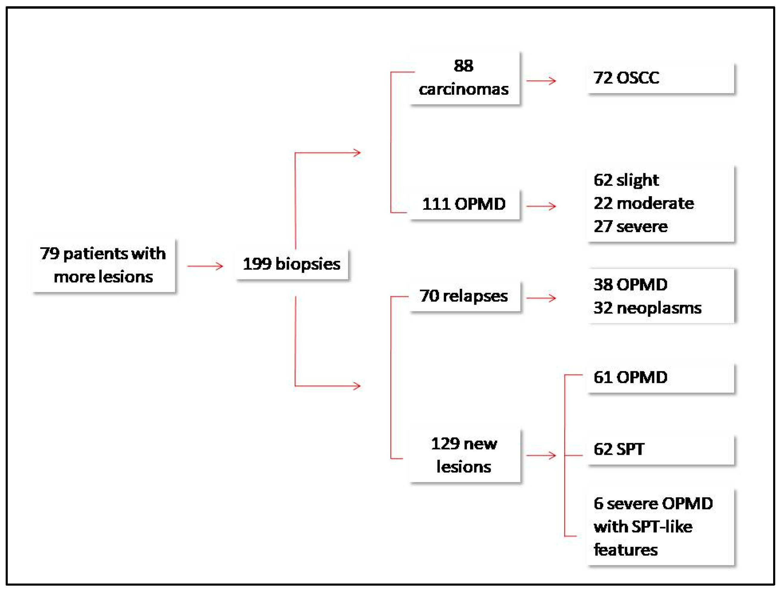 Proceedings 35 00049 g001