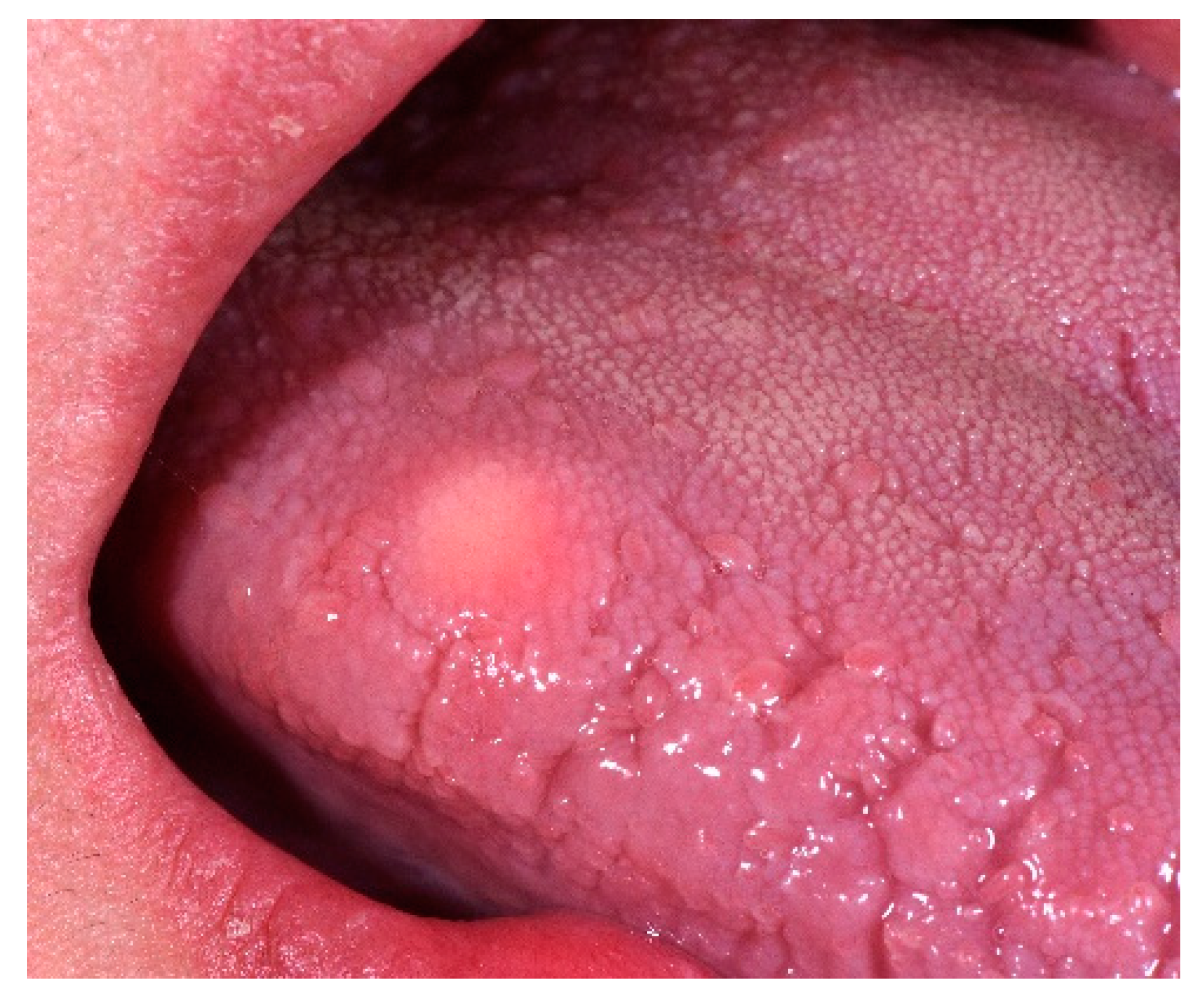 Proceedings 35 00055 g001