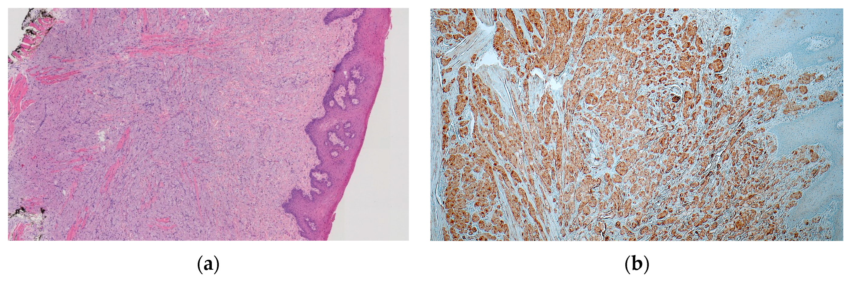 Proceedings 35 00055 g002