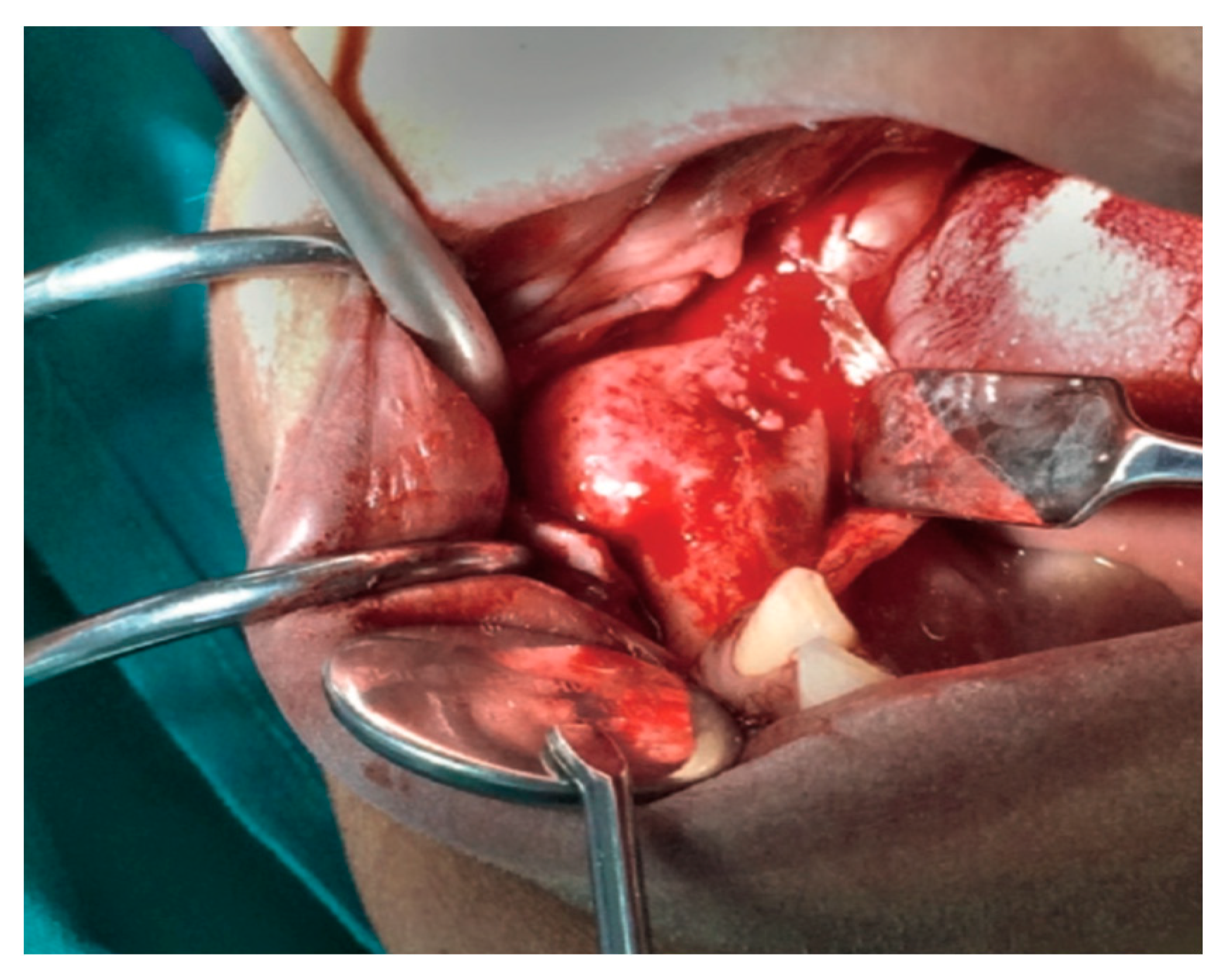 Proceedings 35 00059 g001