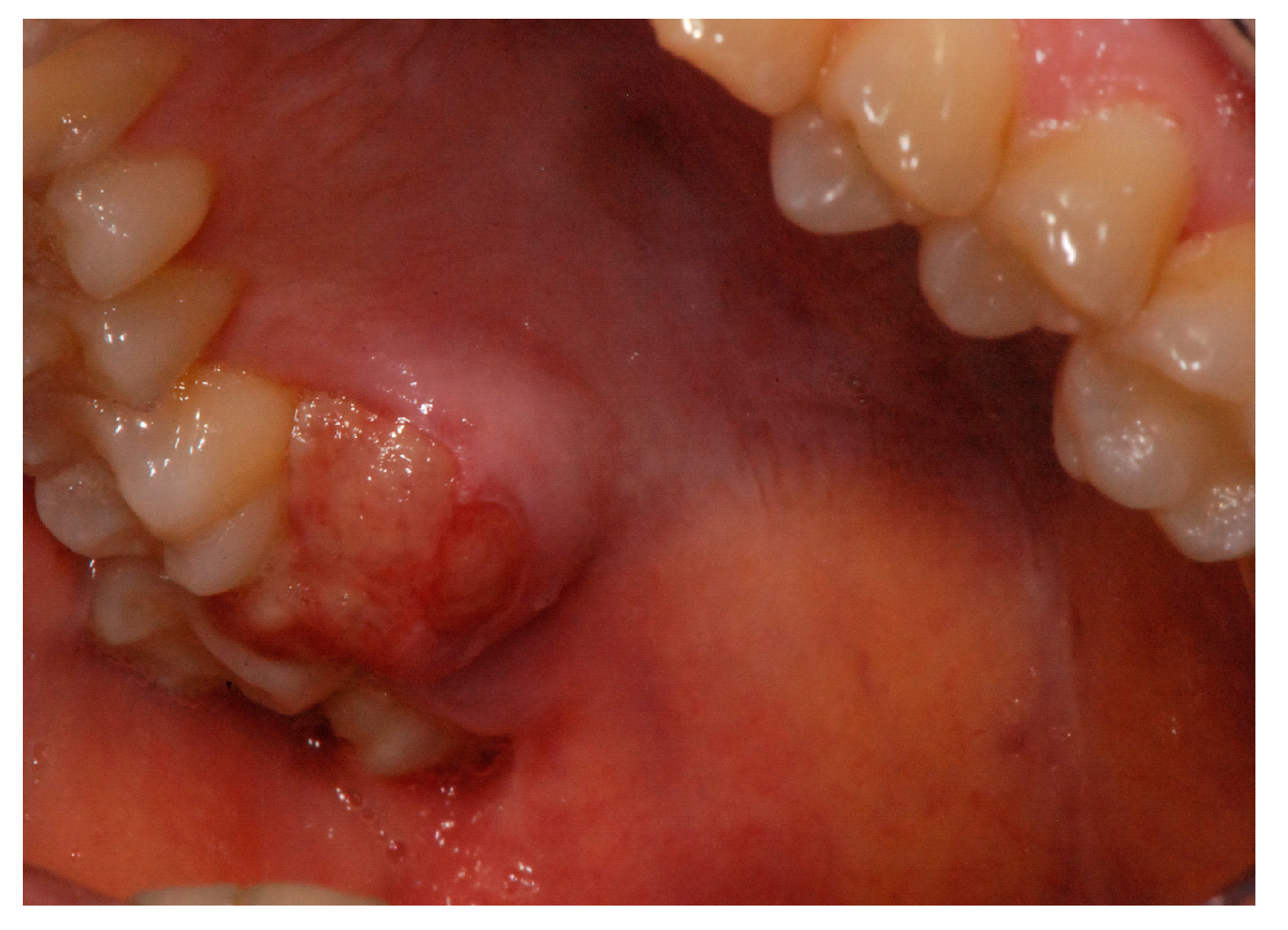 Proceedings 35 00063 g001