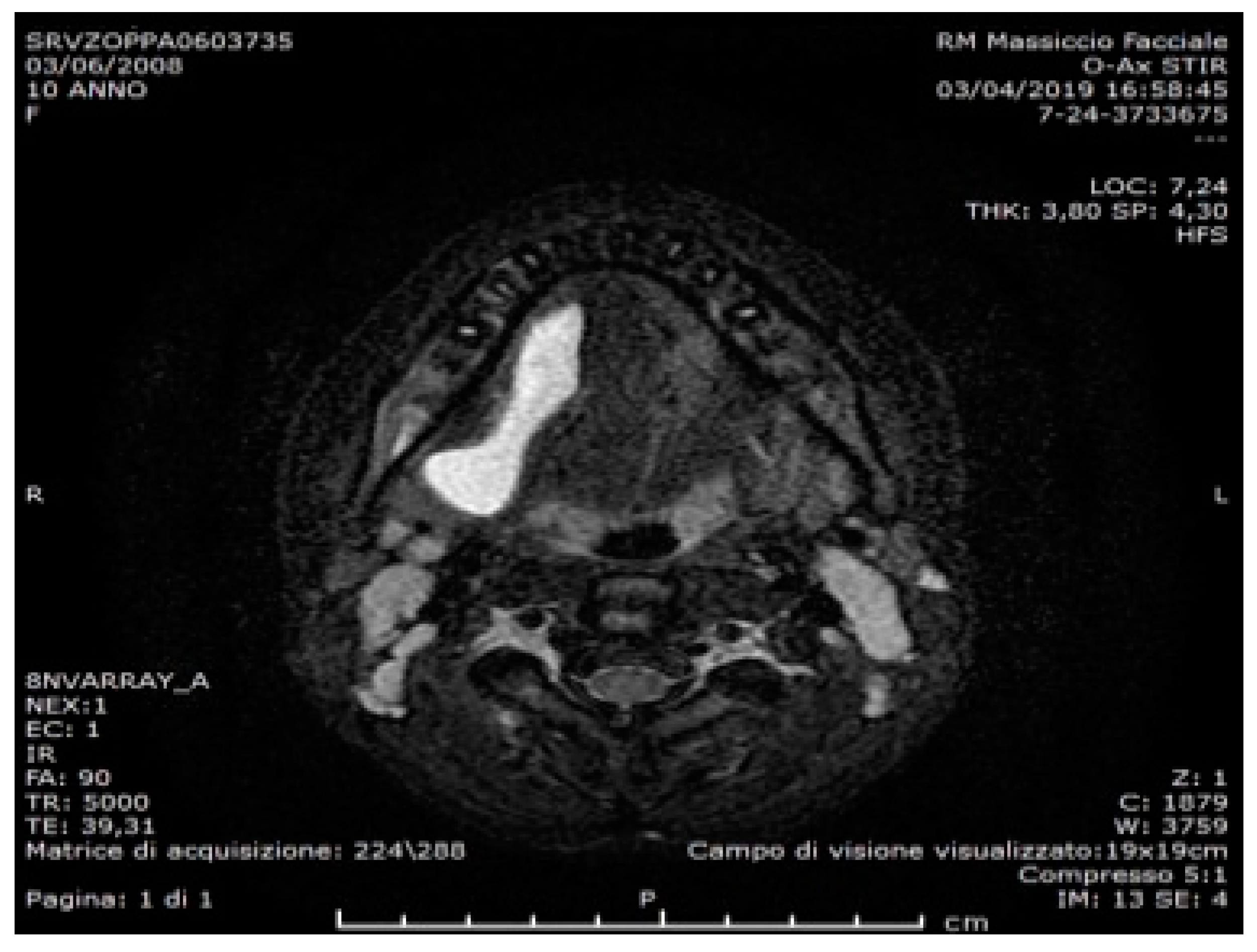 Proceedings 35 00066 g002