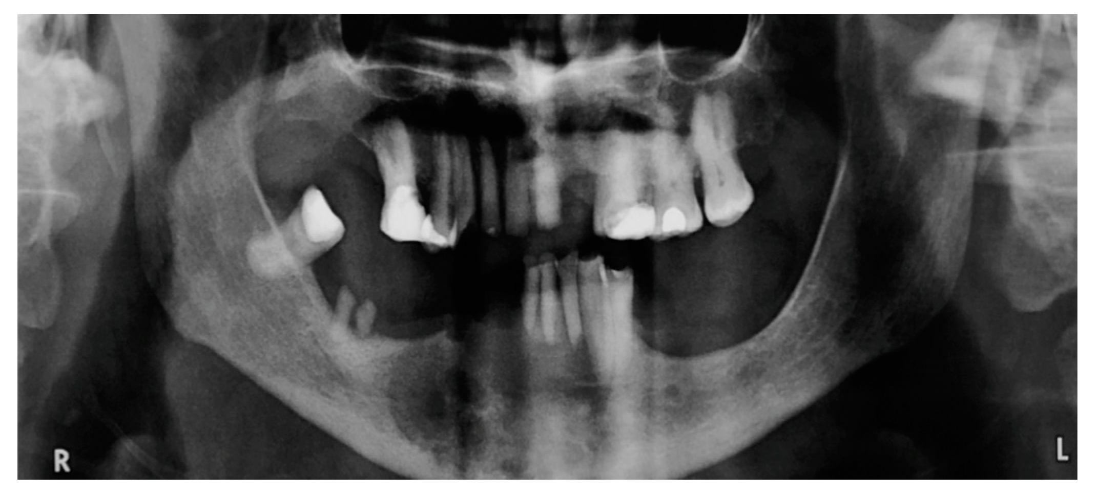 Proceedings 35 00067 g002