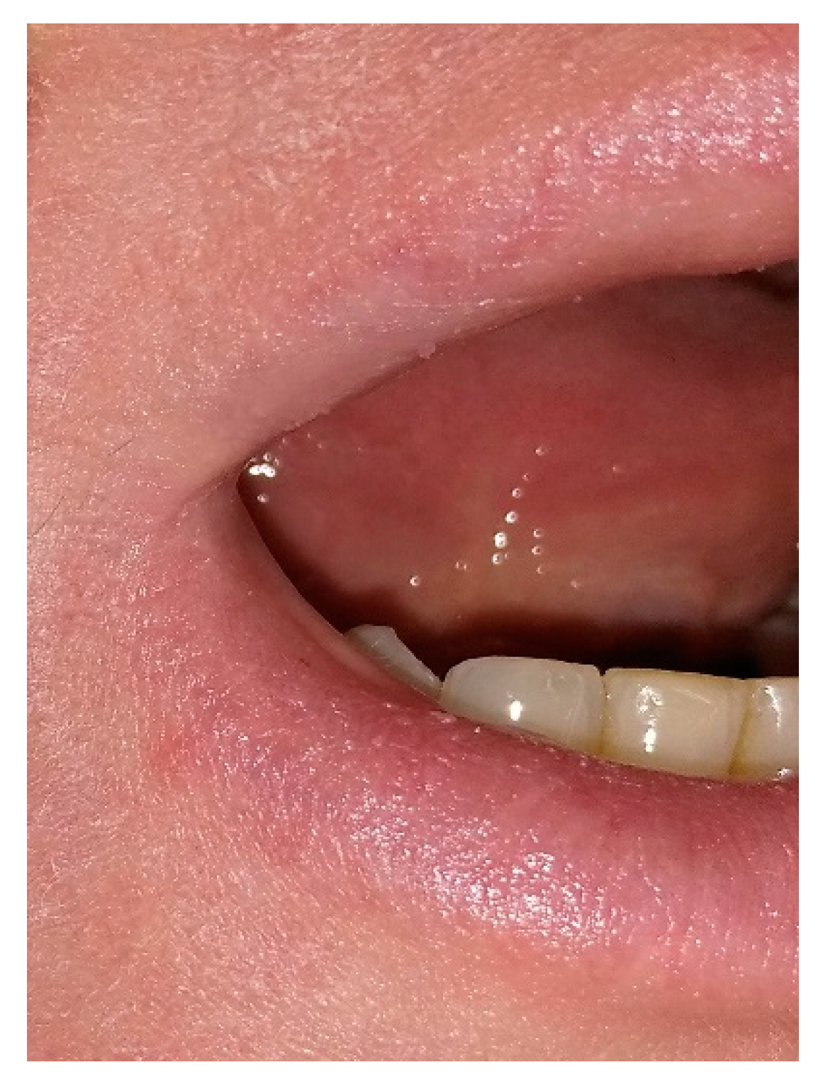 Proceedings 35 00069 g002