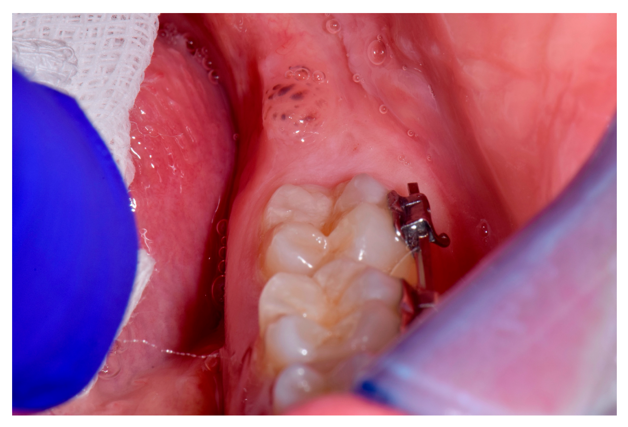 Proceedings 35 00074 g001