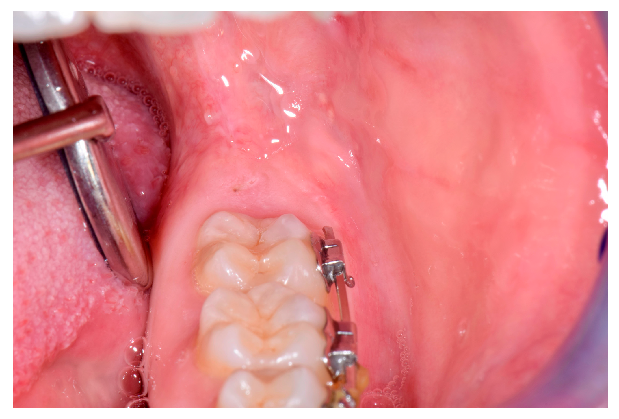 Proceedings 35 00074 g002