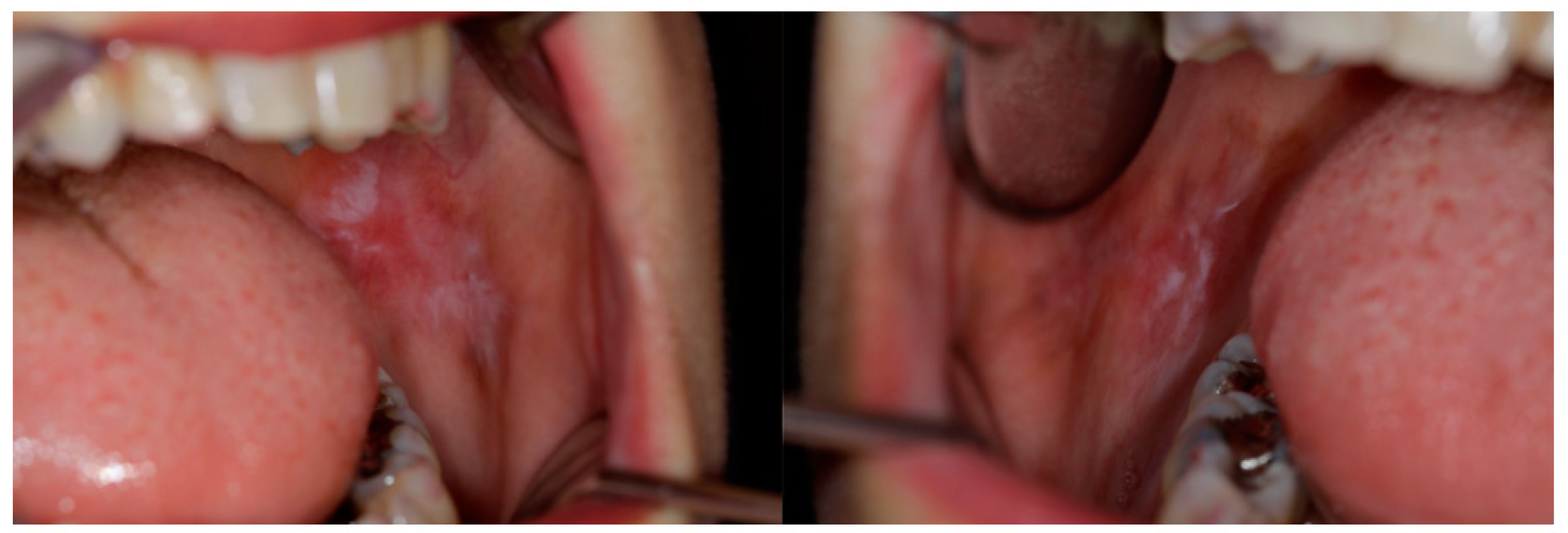 Proceedings 35 00080 g001