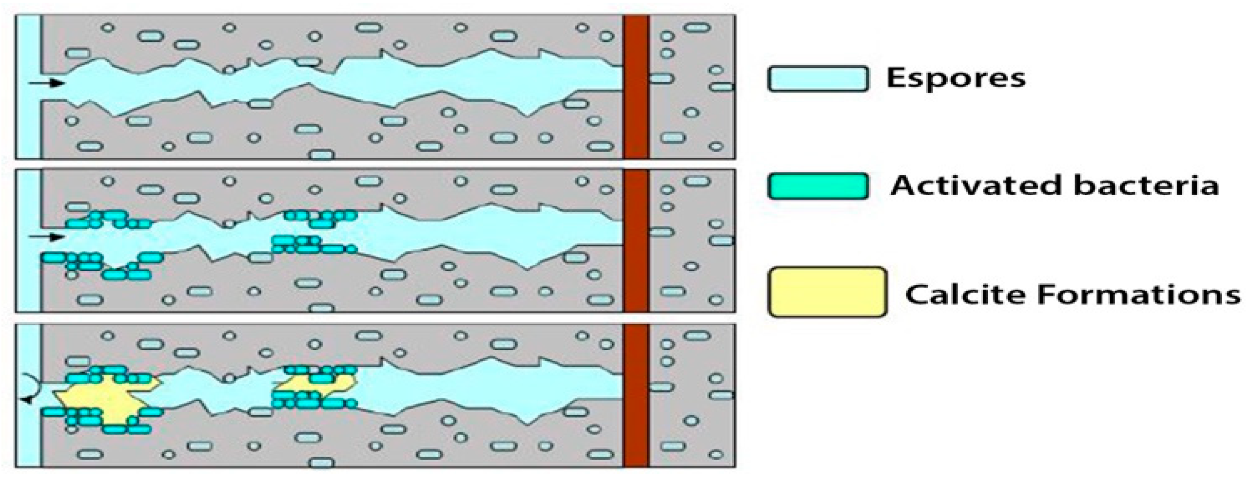 Proceedings 38 00004 g002