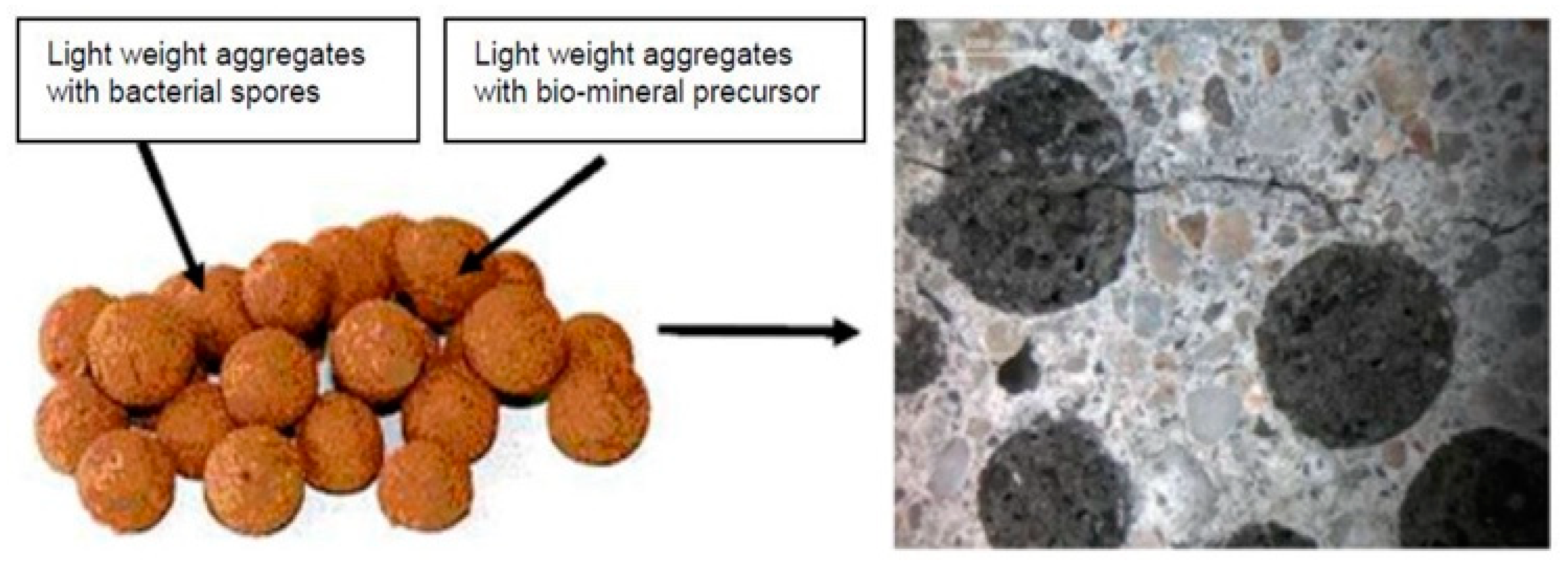 Proceedings 38 00004 g003