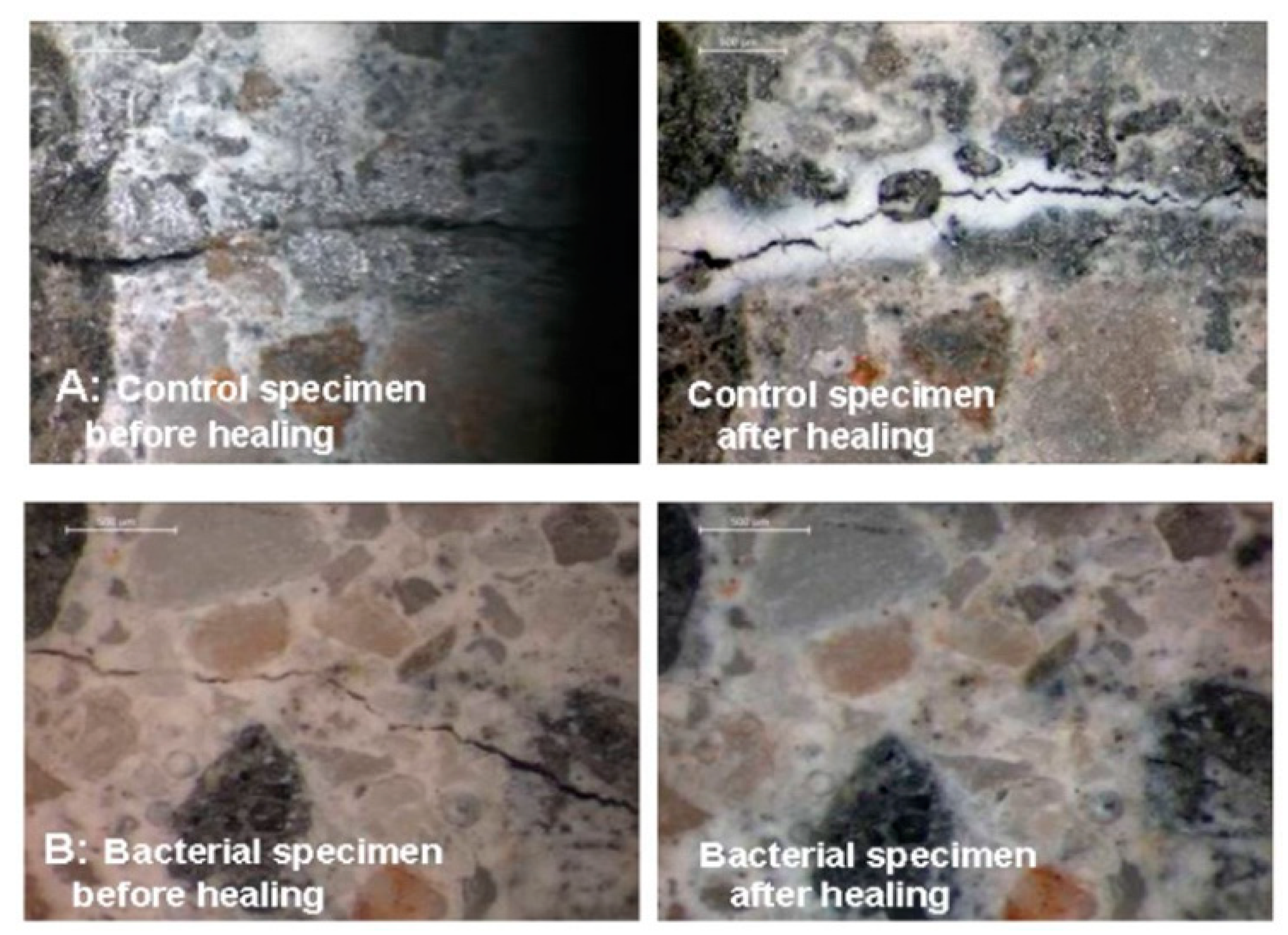 Proceedings 38 00004 g005