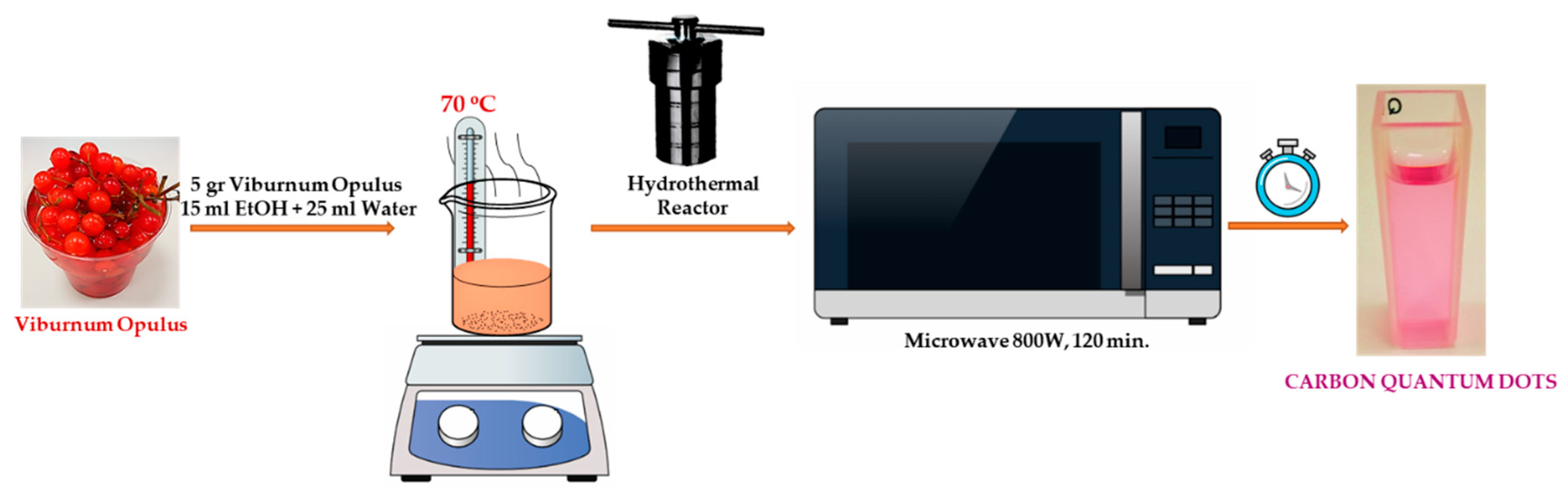 Proceedings 40 00011 g001