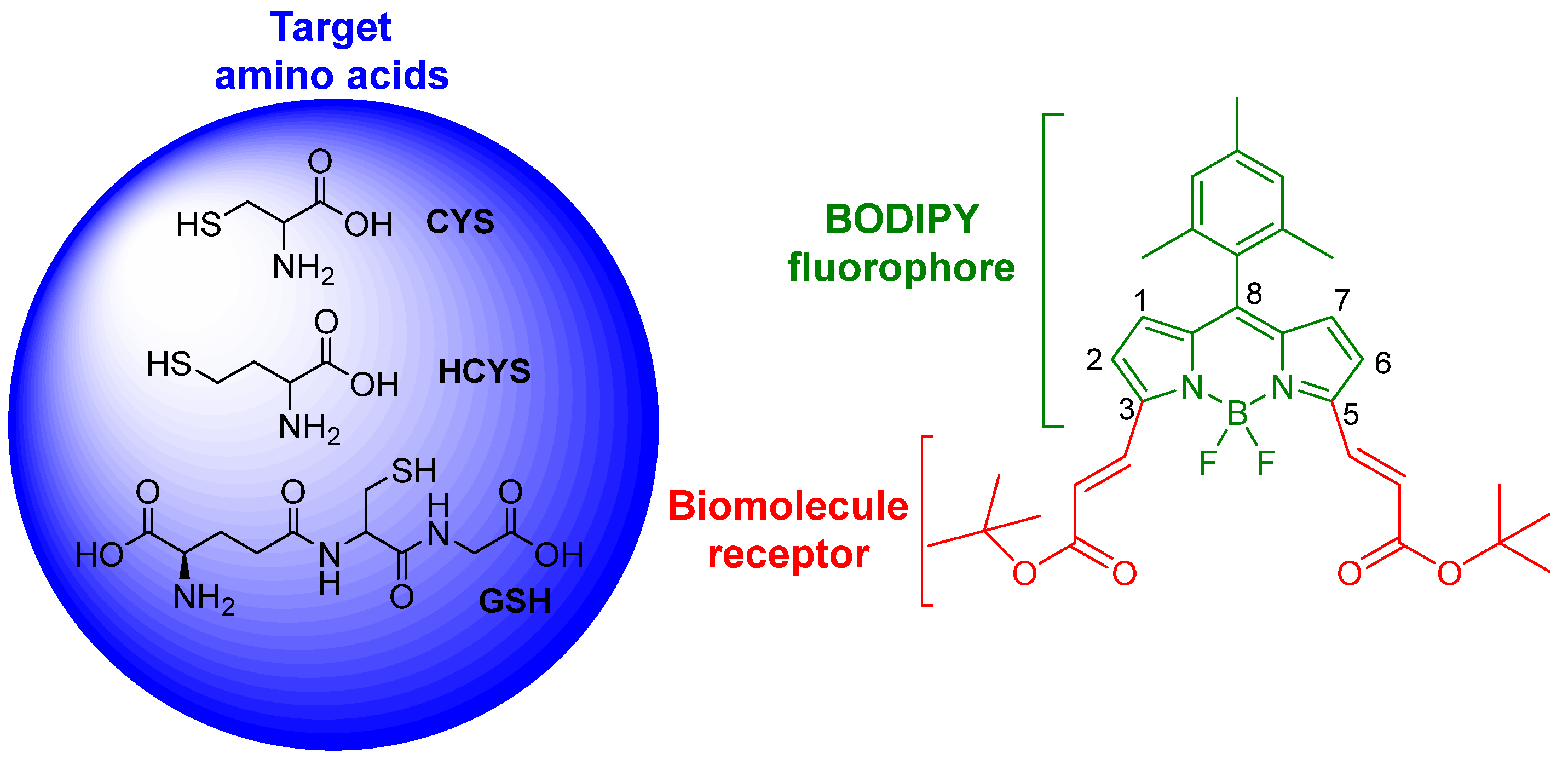 Proceedings 41 00018 sch001