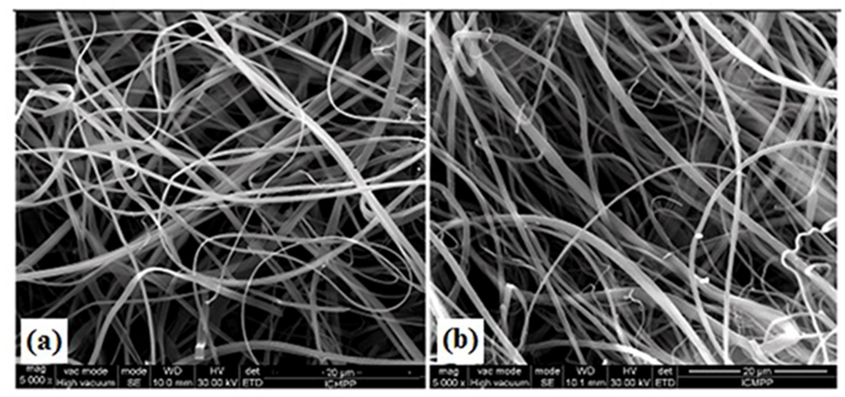Proceedings 41 00035 g002