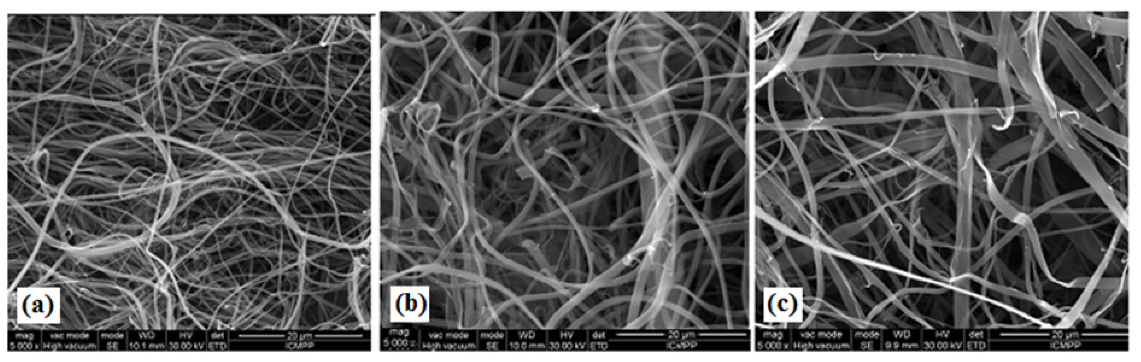 Proceedings 41 00035 g003