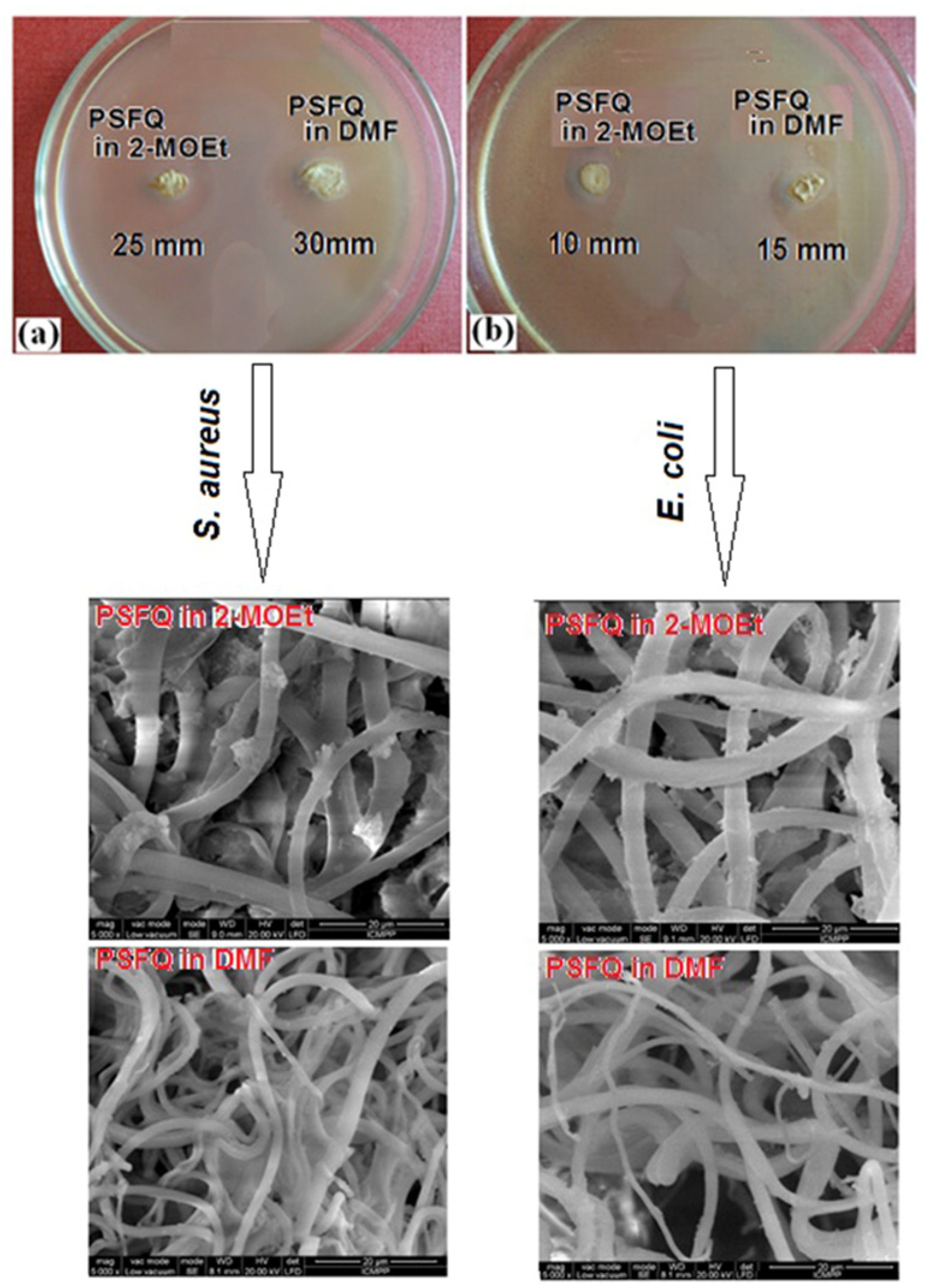 Proceedings 41 00035 g004