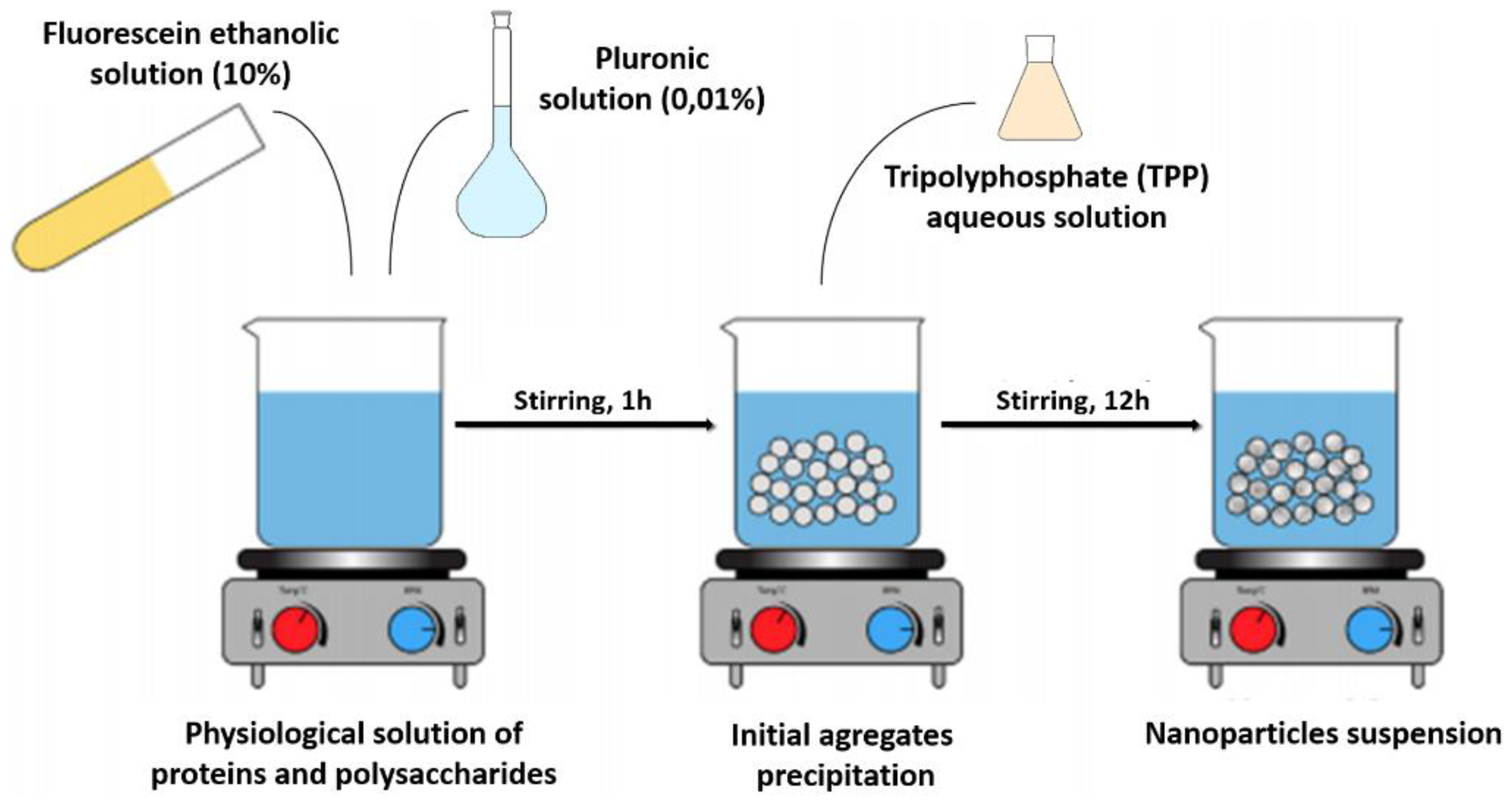 Proceedings 41 00039 g001