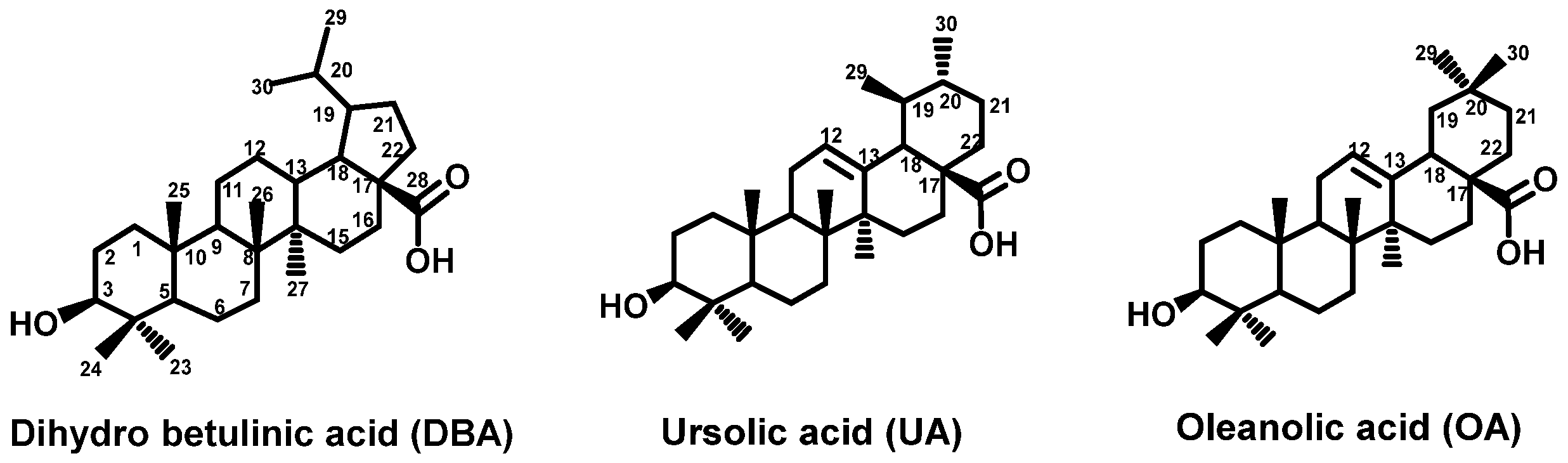 Proceedings 41 00045 g001