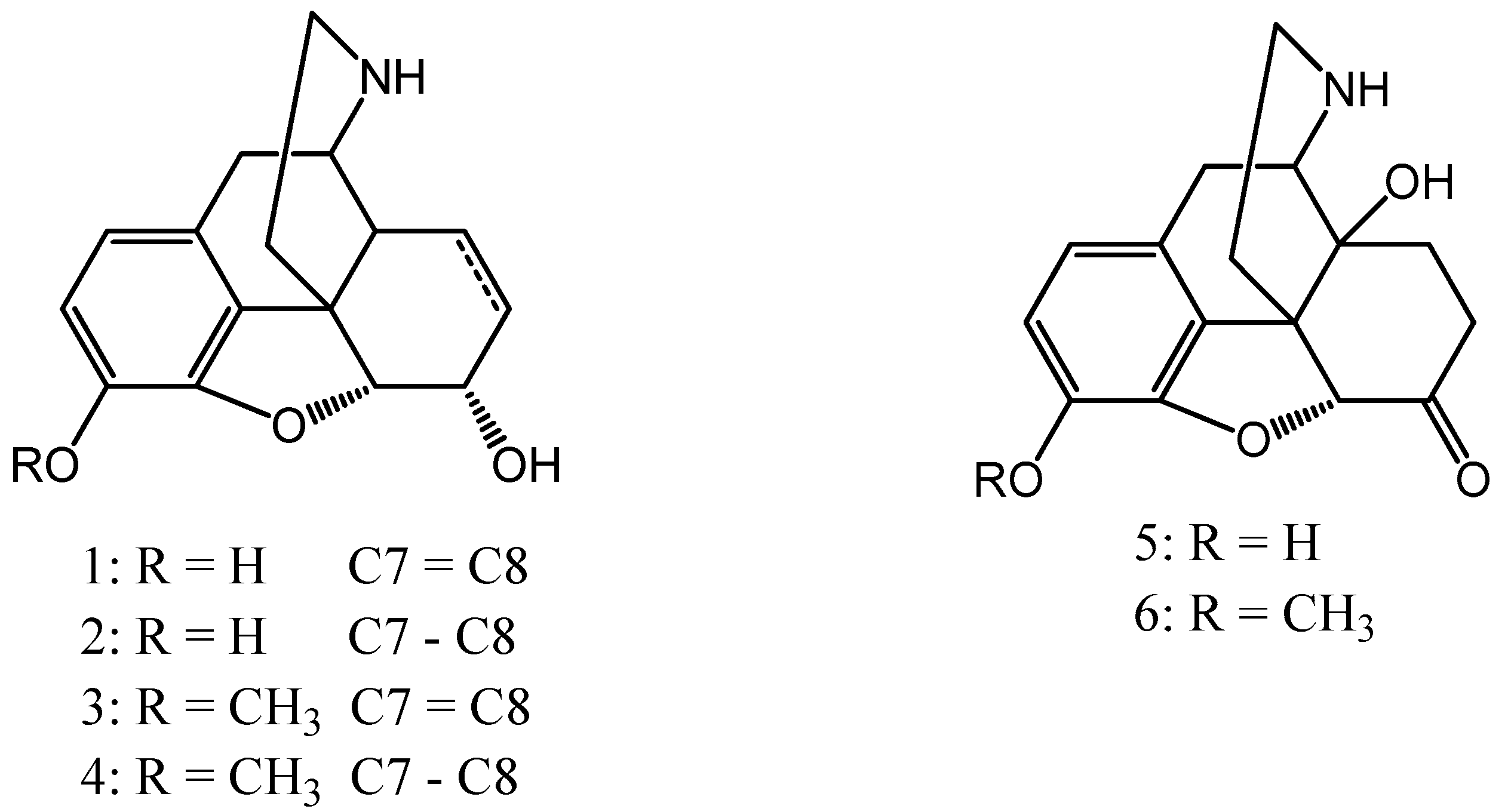 Proceedings 41 00048 g001