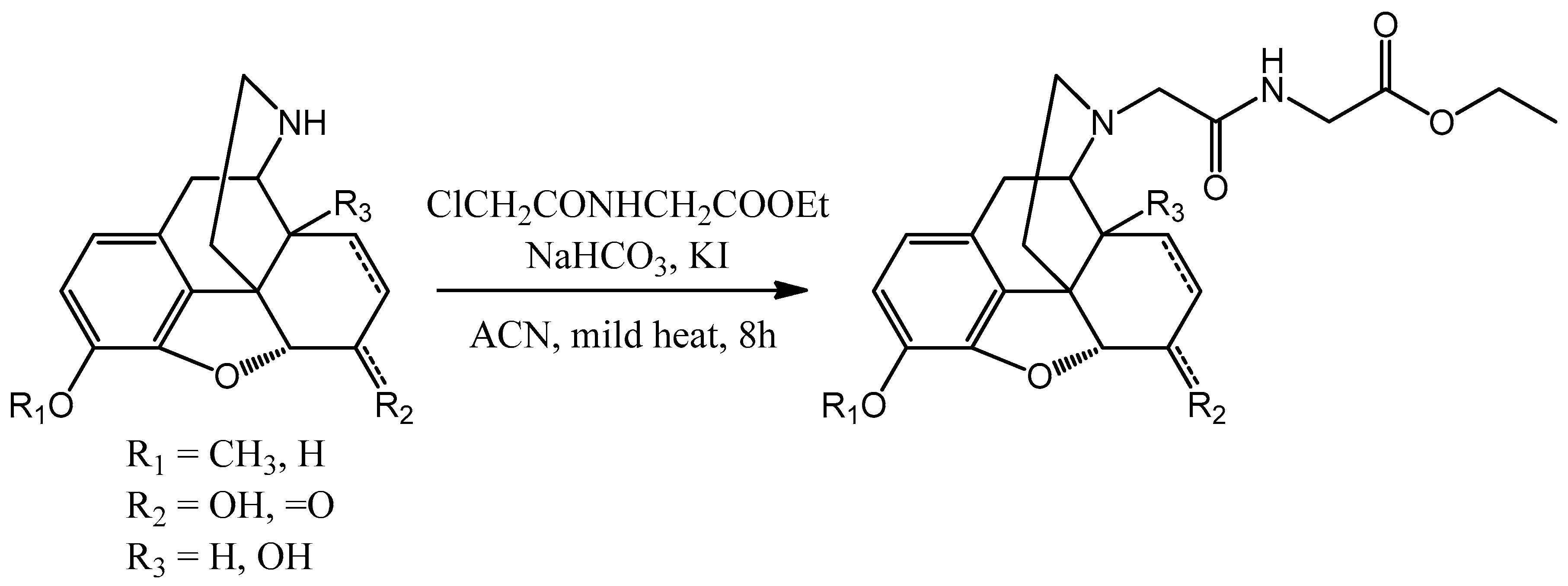 Proceedings 41 00048 sch008